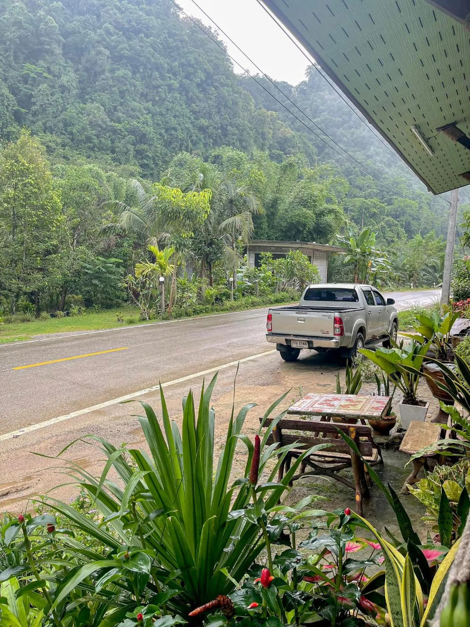 Natural landscape in Khao Sok Green Mountain View