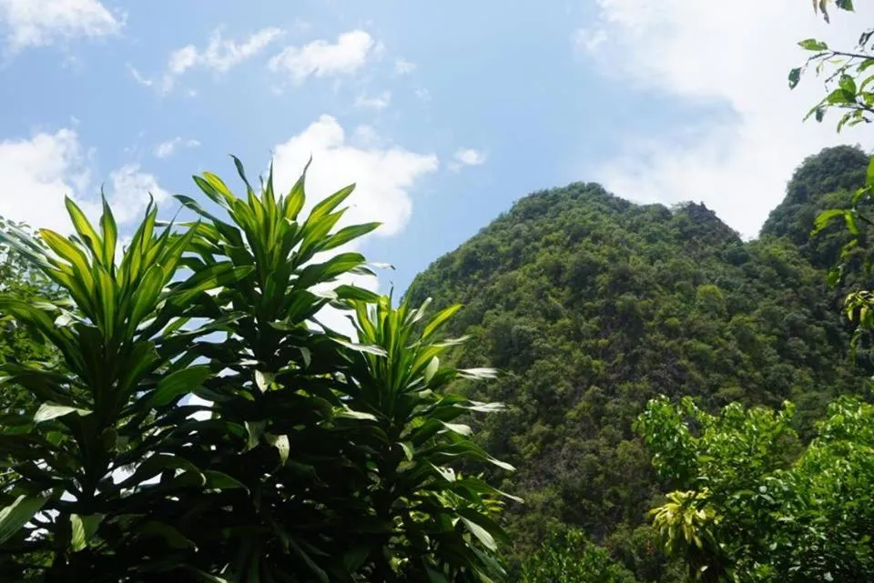 Property building in Khao Sok Green Mountain View