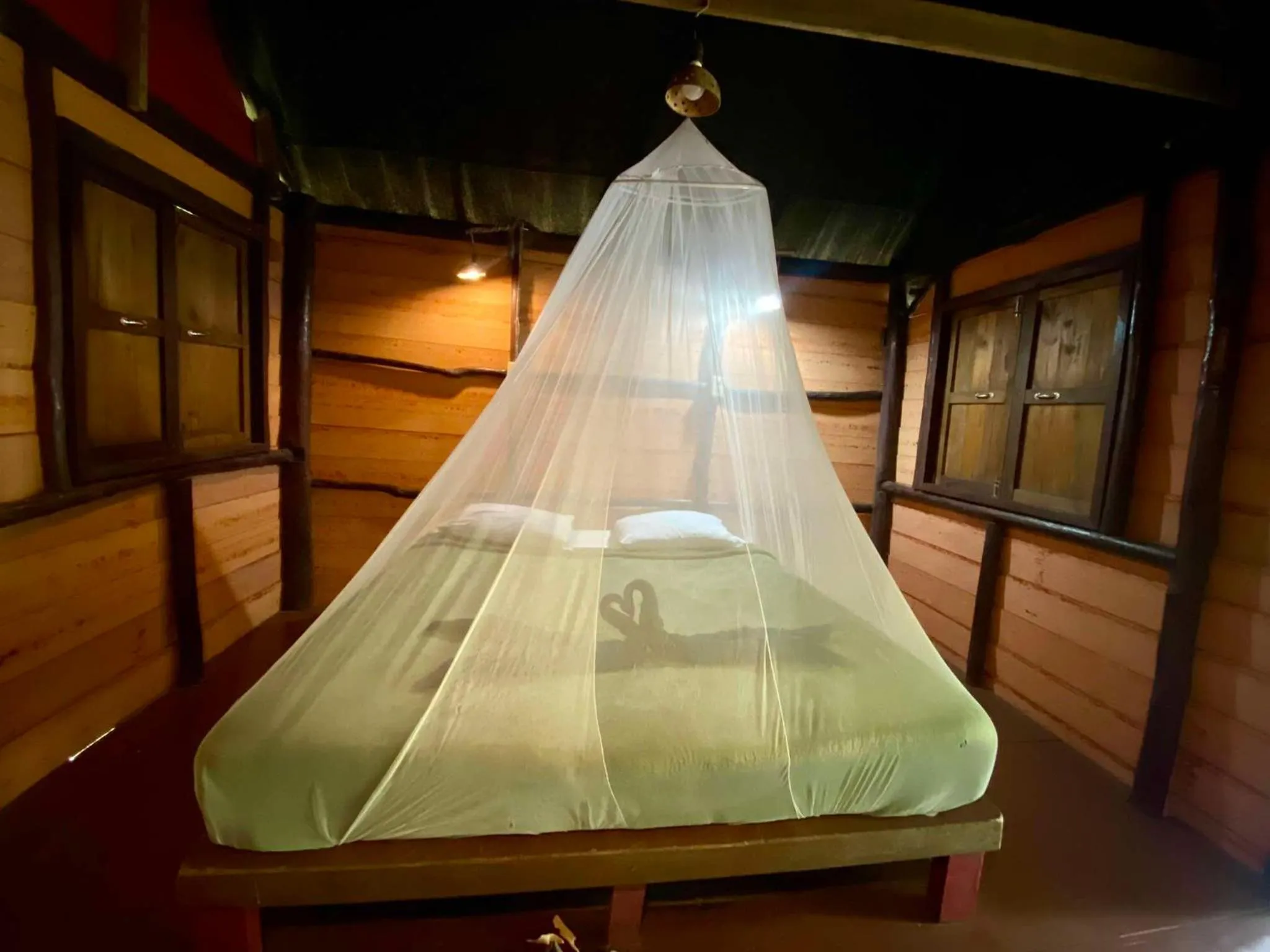 Khao Sok Green Mountain View