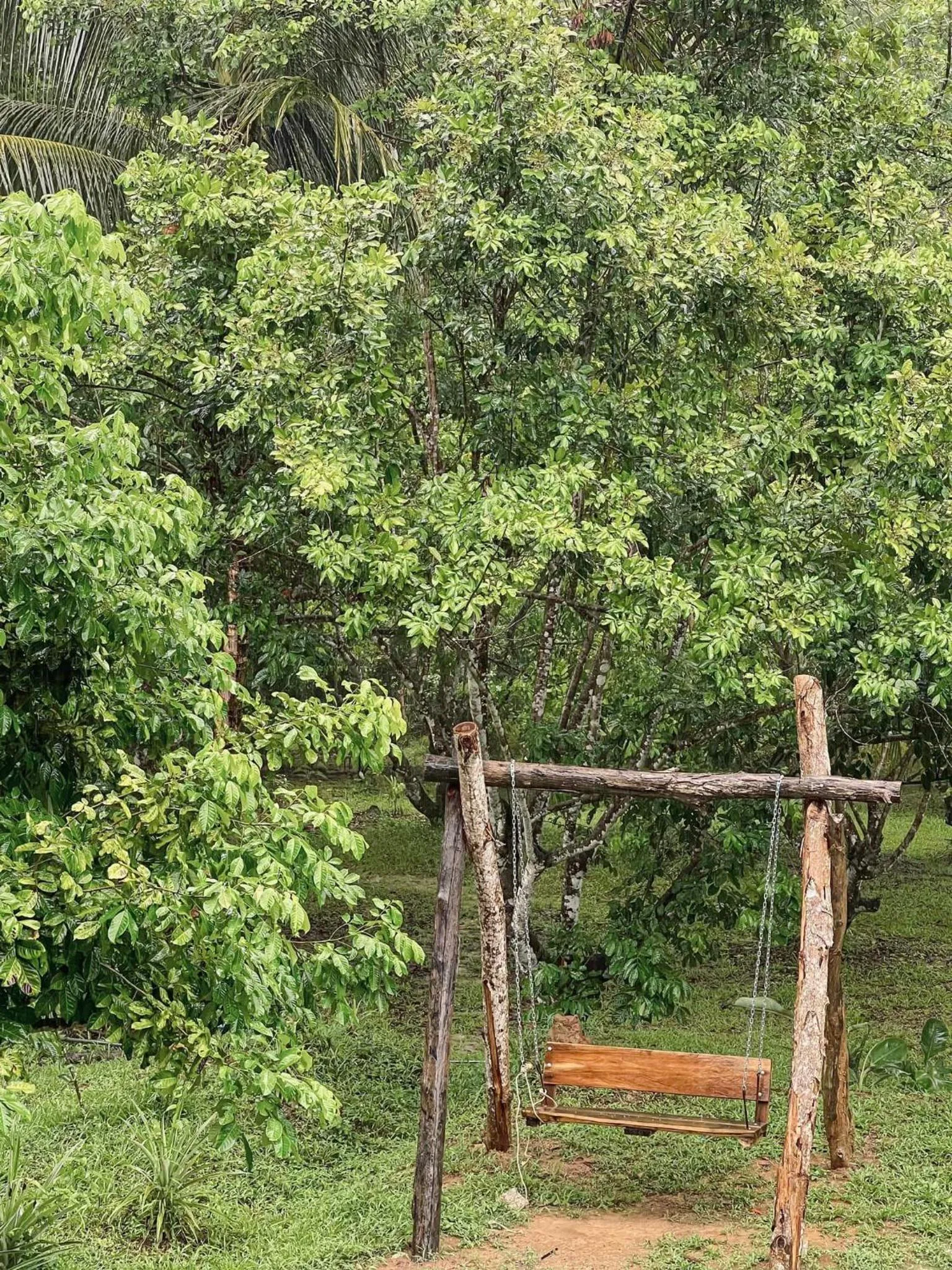 Restaurant/places to eat in Khao Sok Green Mountain View