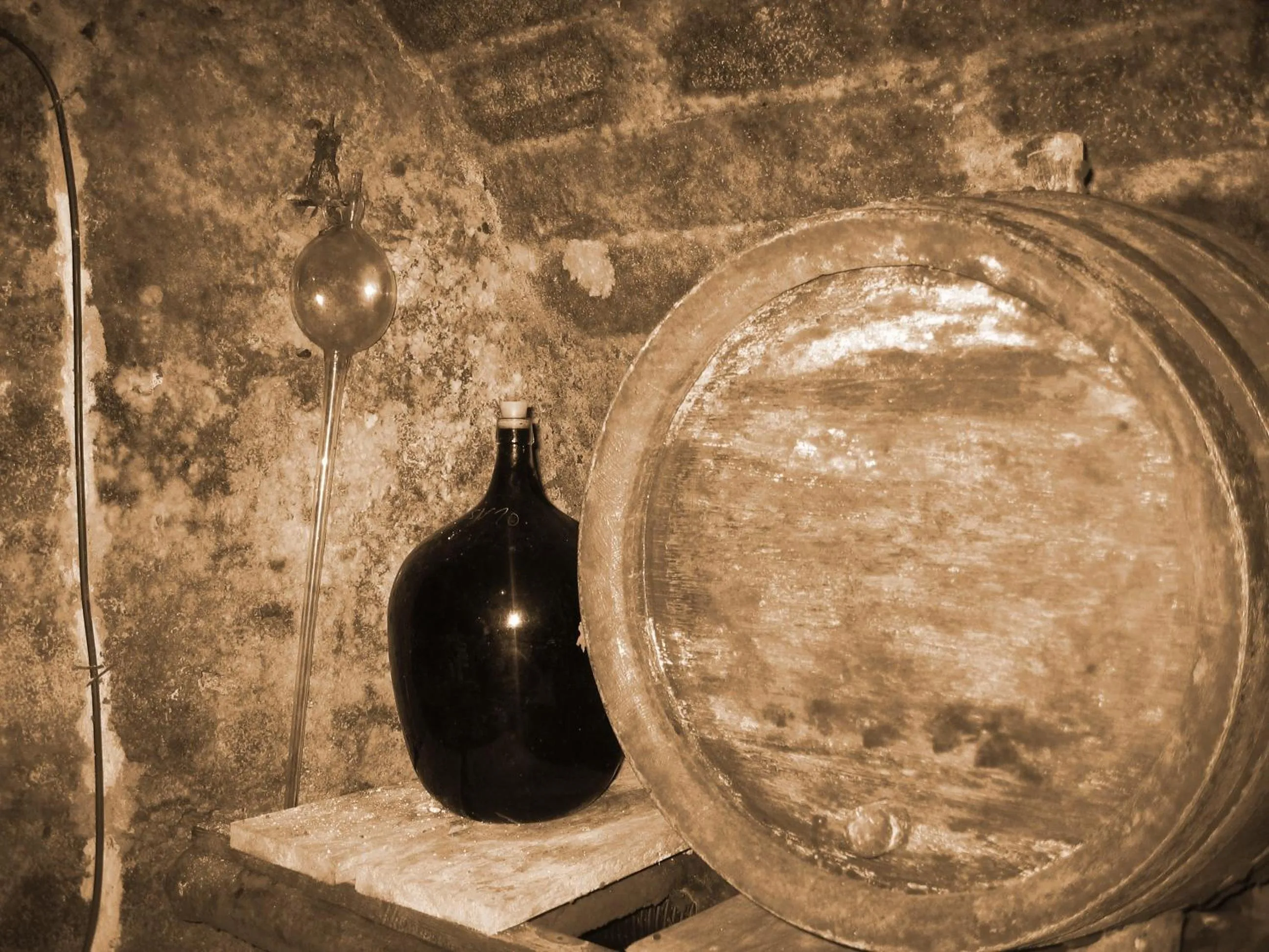 Area and facilities in Apartmány Fojtova studna