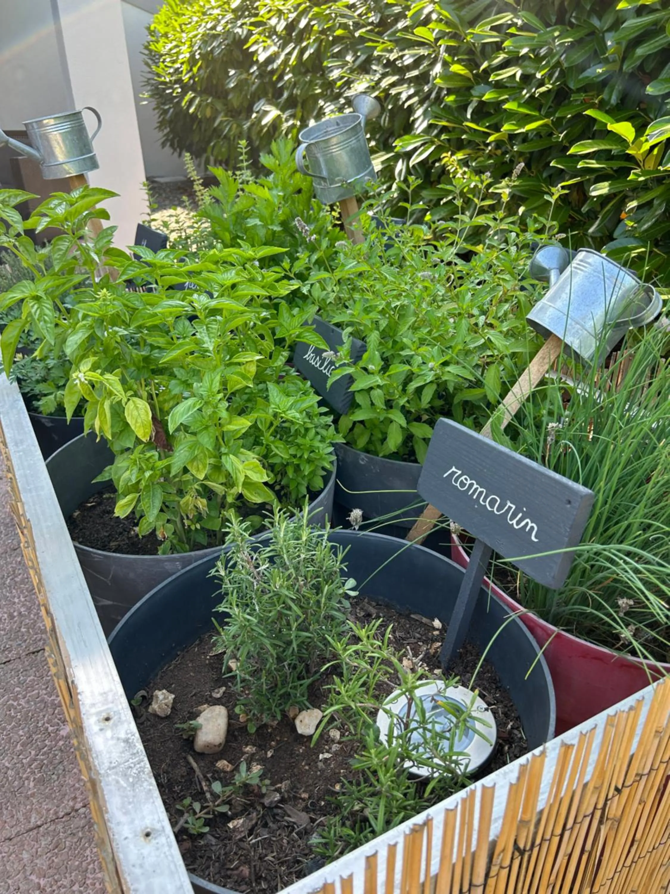 Garden in Campanile NATURE - Cahors