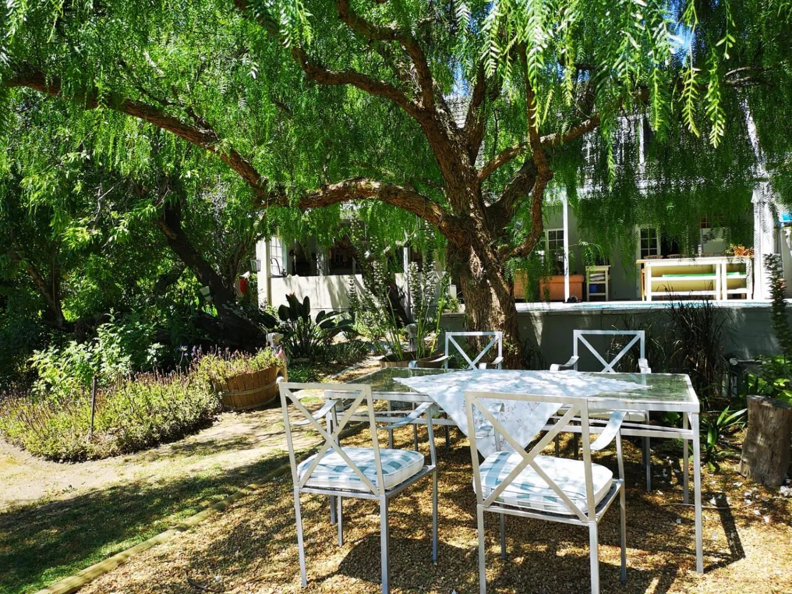 Patio in Almond Cottage Bed & Breakfast