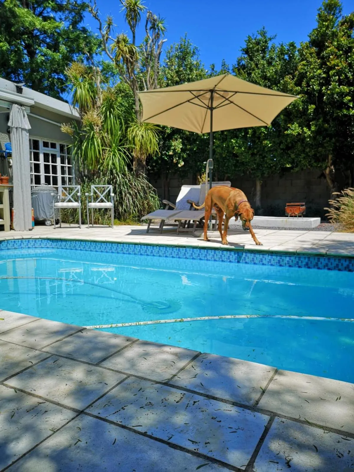 Patio in Almond Cottage Bed & Breakfast