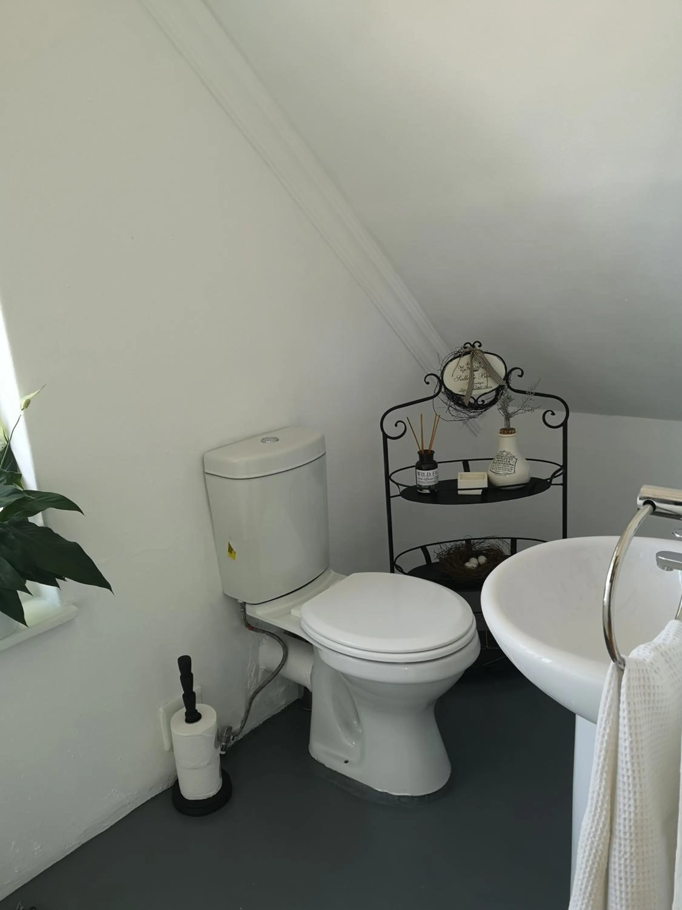 Bathroom in Almond Cottage Bed & Breakfast