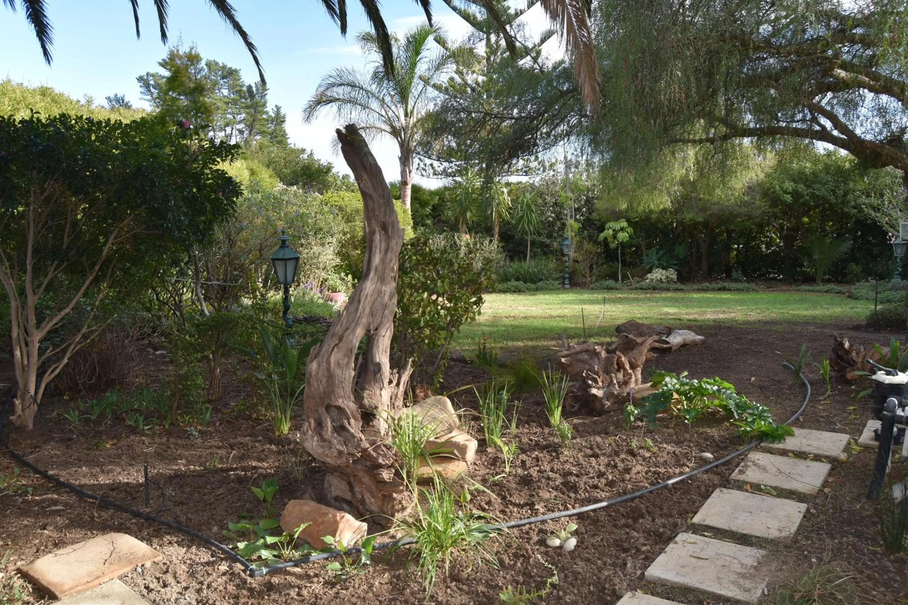 Garden in Almond Cottage Bed & Breakfast