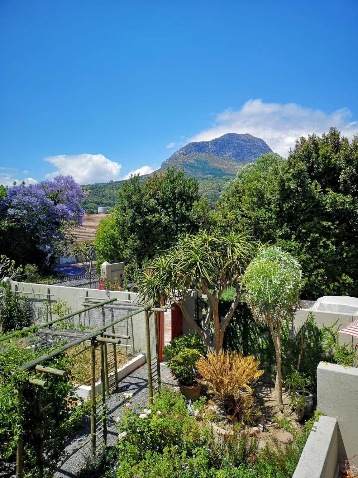Garden view in Almond Cottage Bed & Breakfast