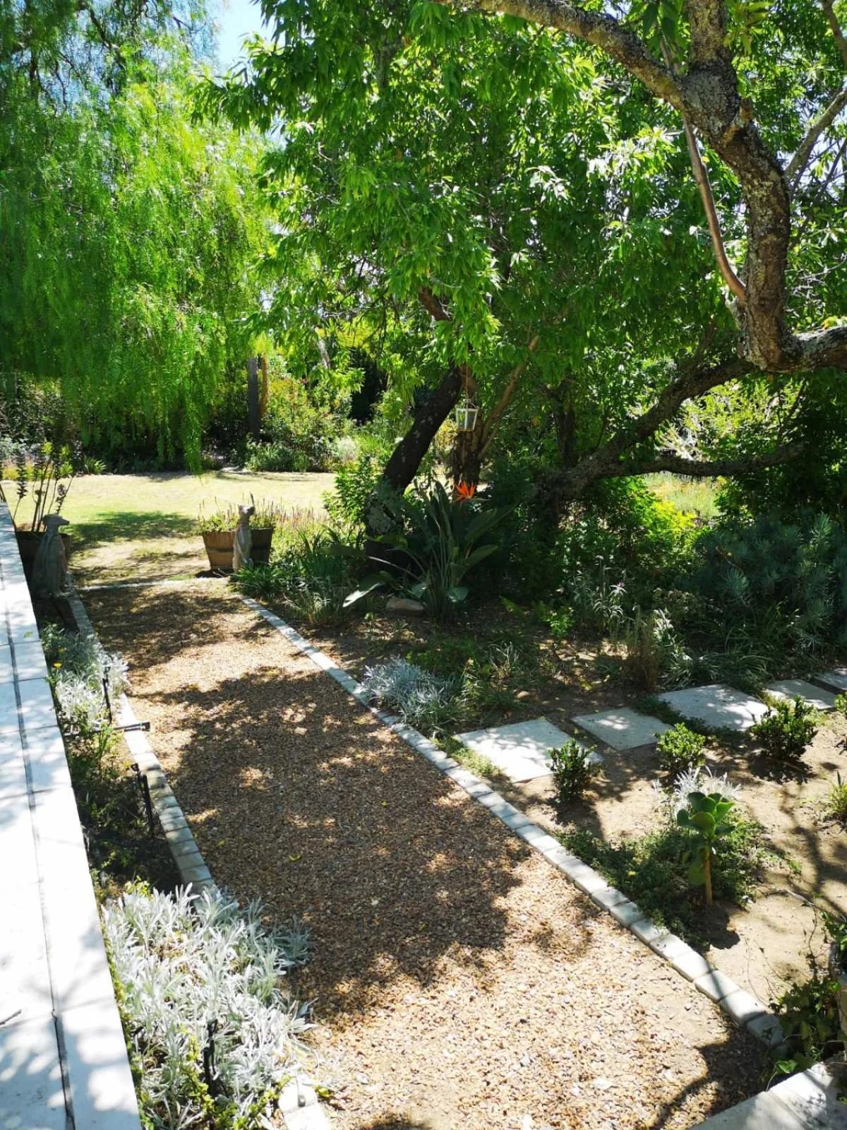 Garden view in Almond Cottage Bed & Breakfast