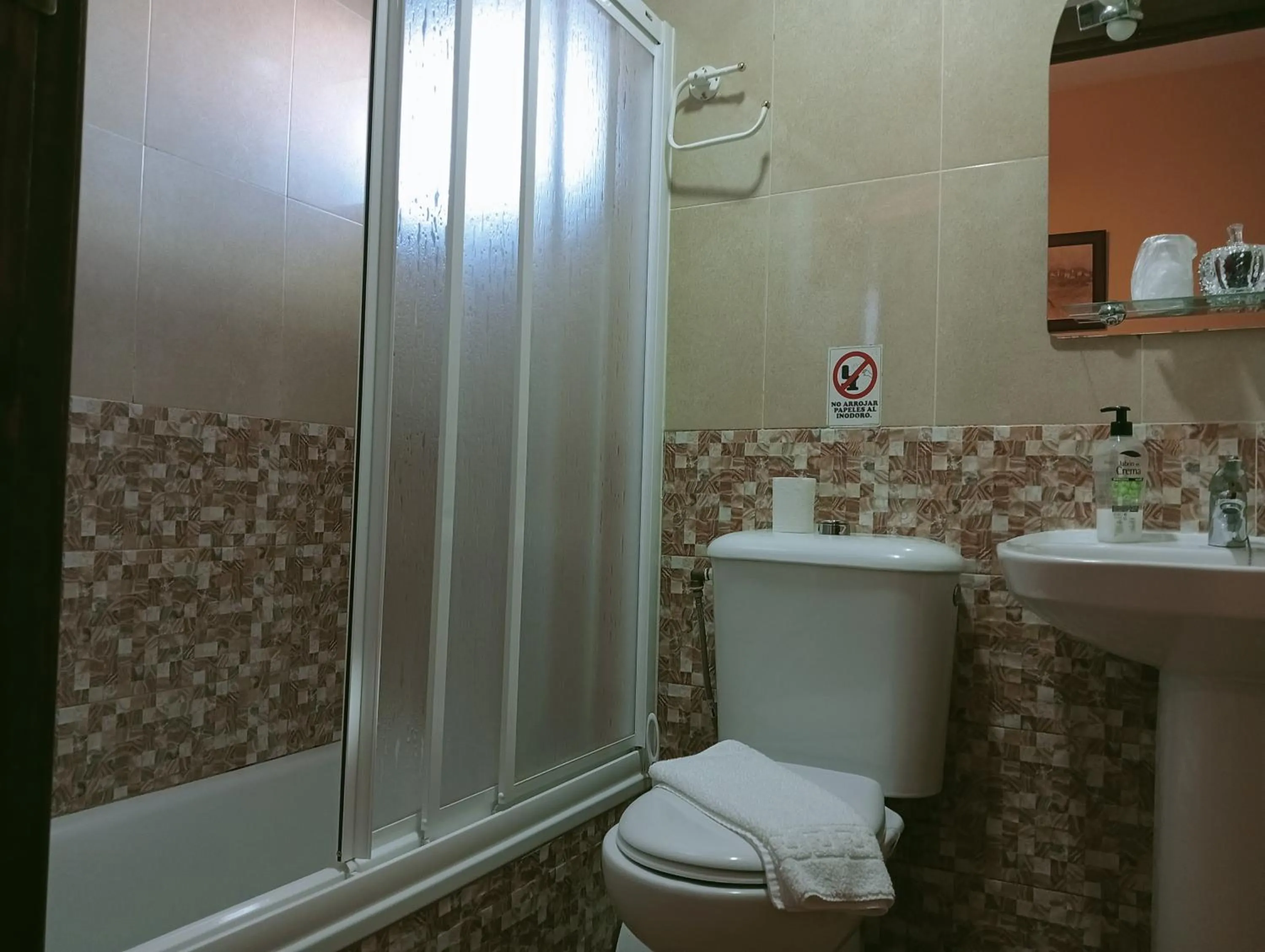 Toilet in Hostal Rocio