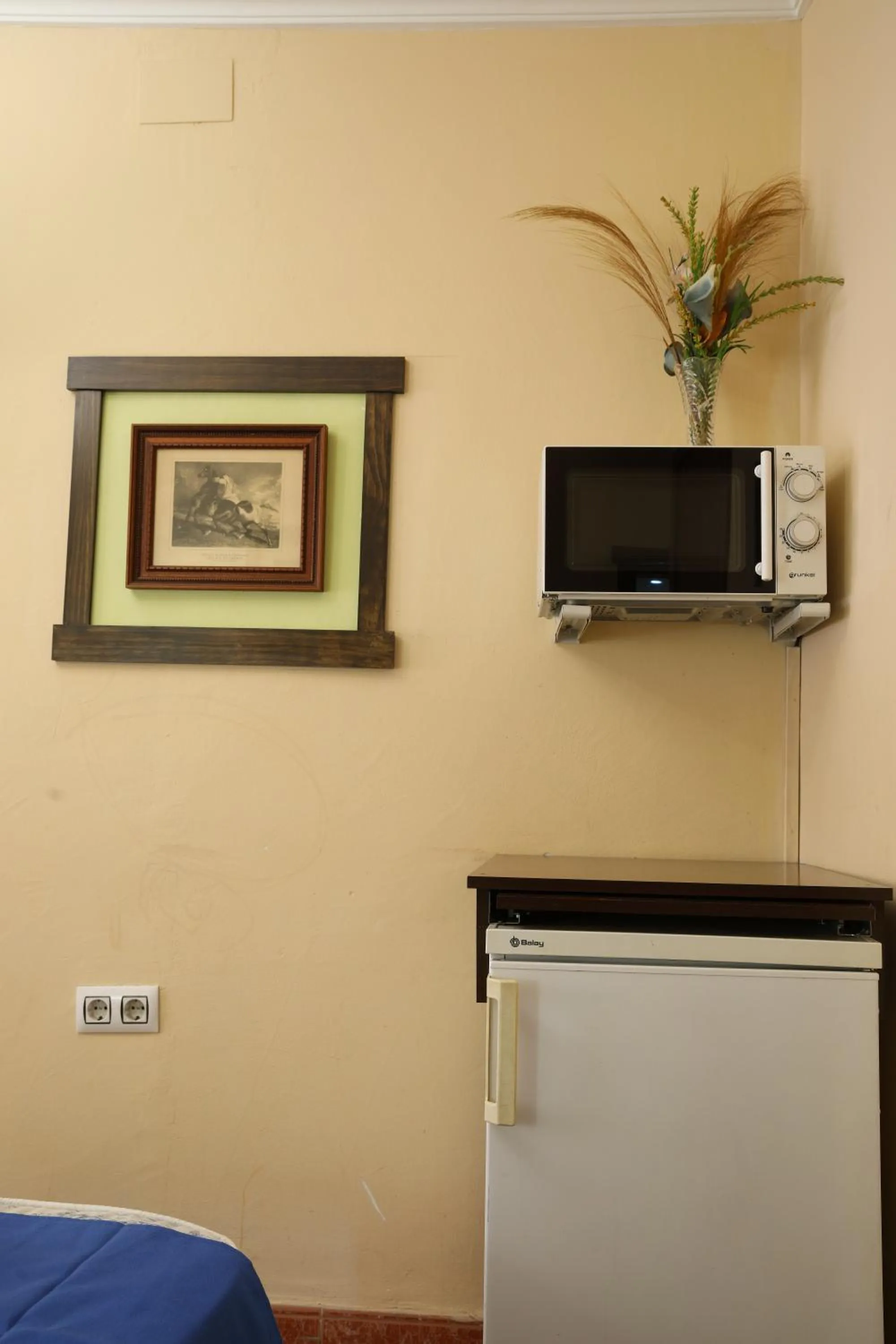 microwave in Hostal Rocio