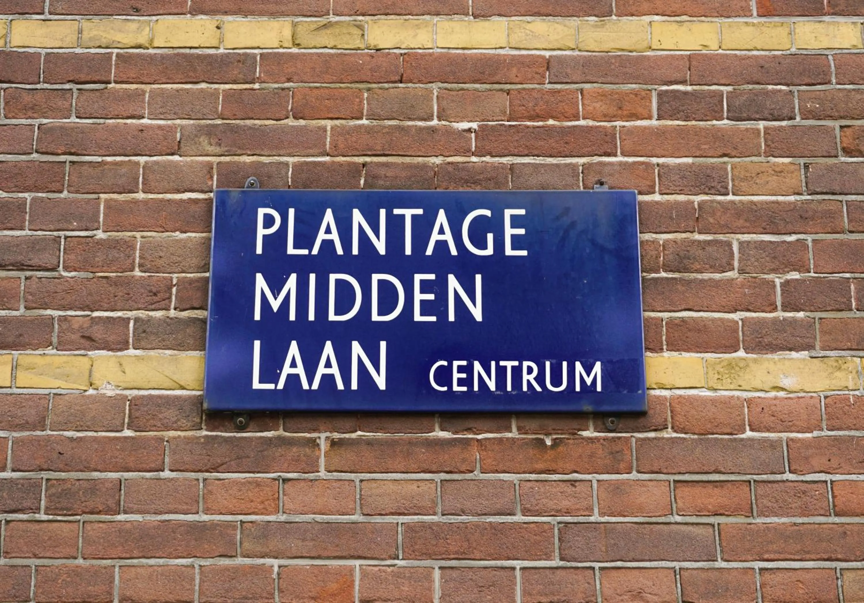 Street view in De Jonker Urban Suites