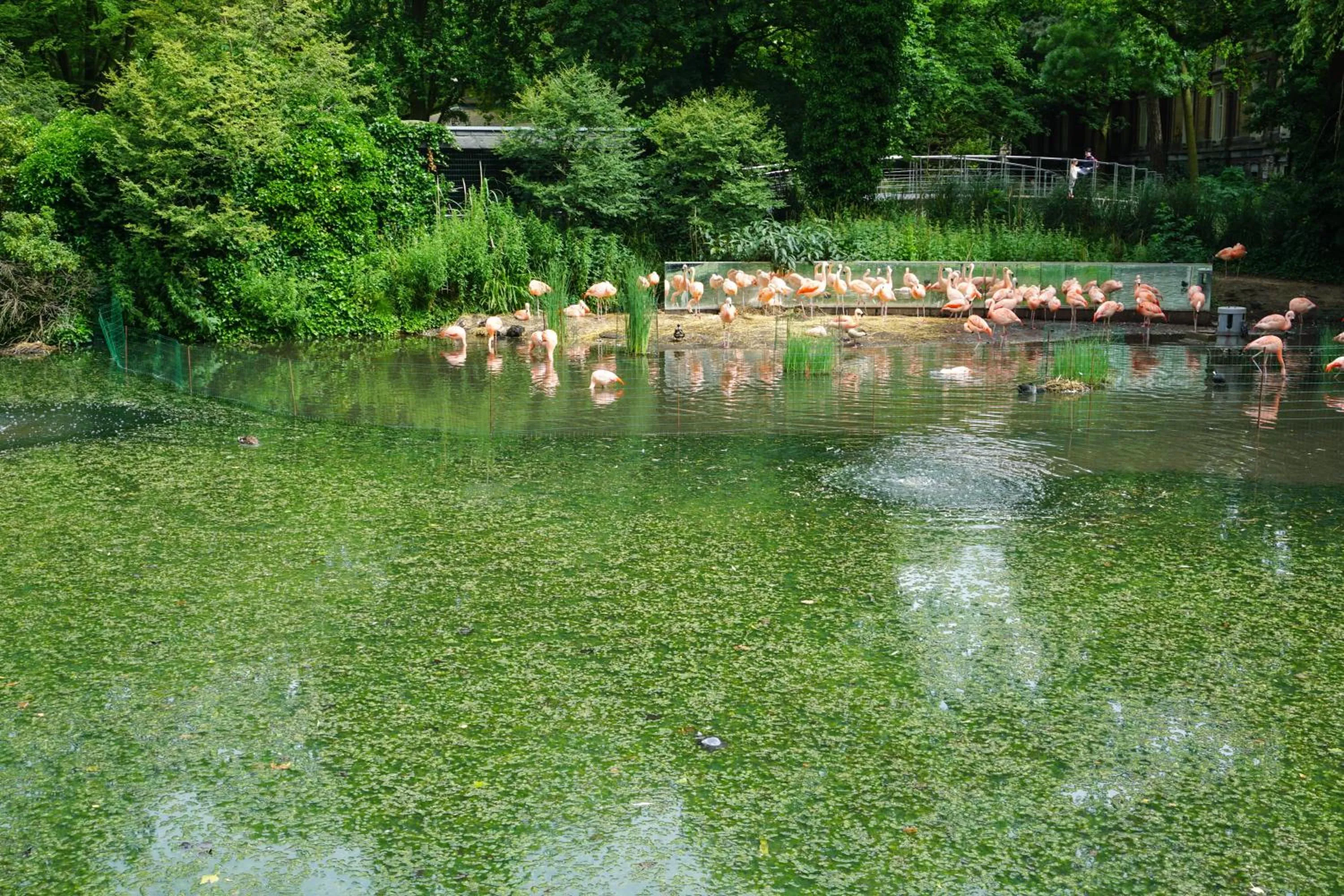 Neighbourhood in De Jonker Urban Suites