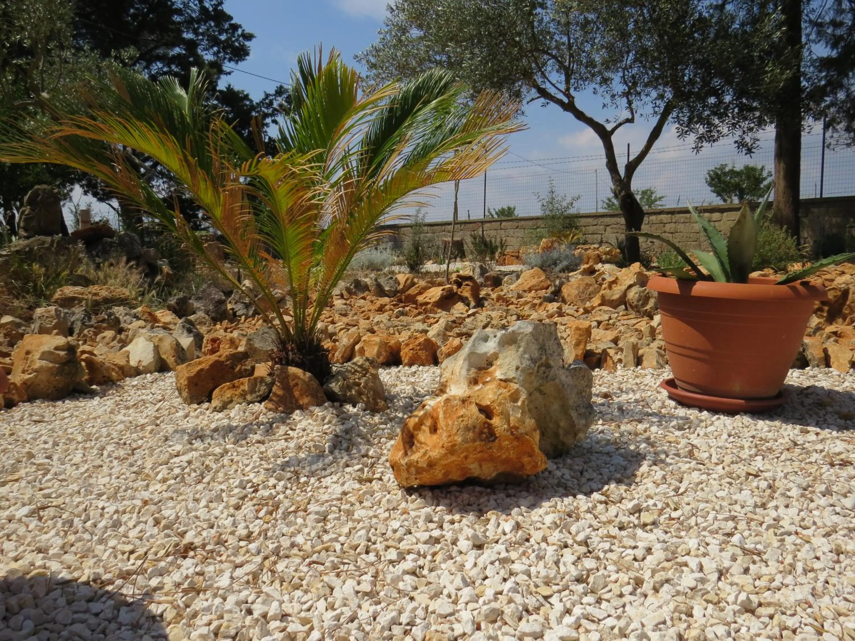 Natural landscape in Villa 2 Fields