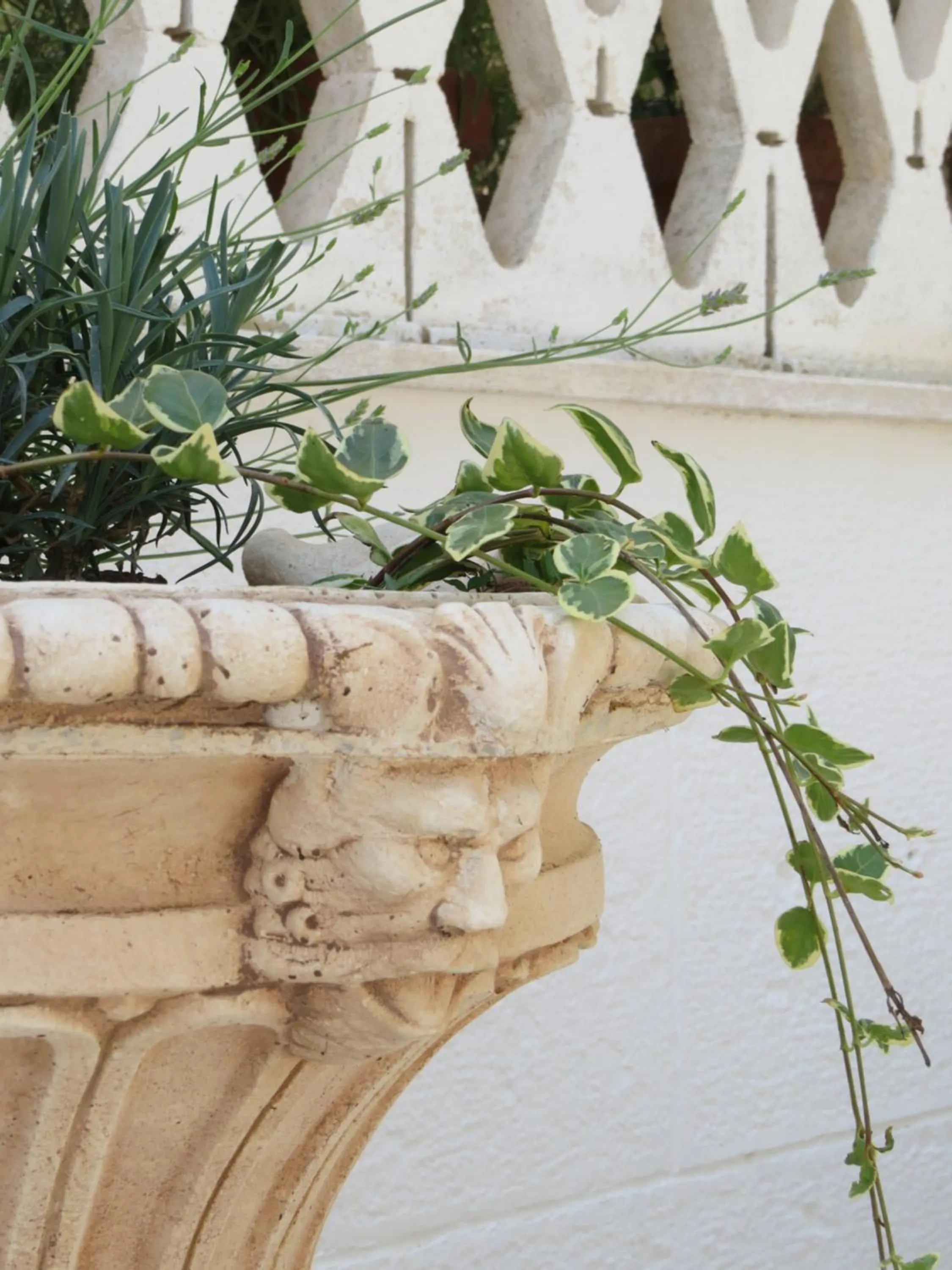 Patio in Villa 2 Fields