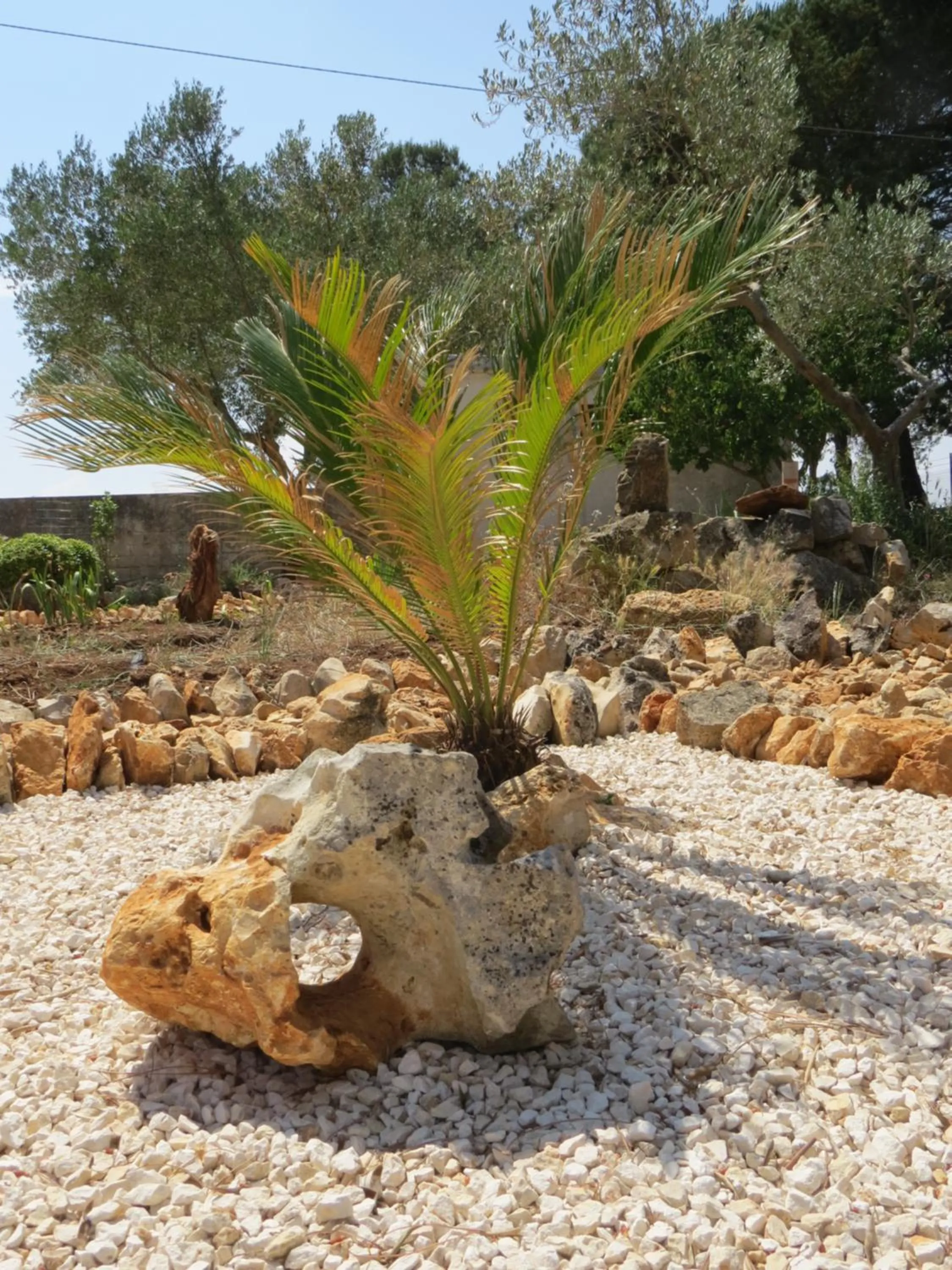 Natural landscape in Villa 2 Fields