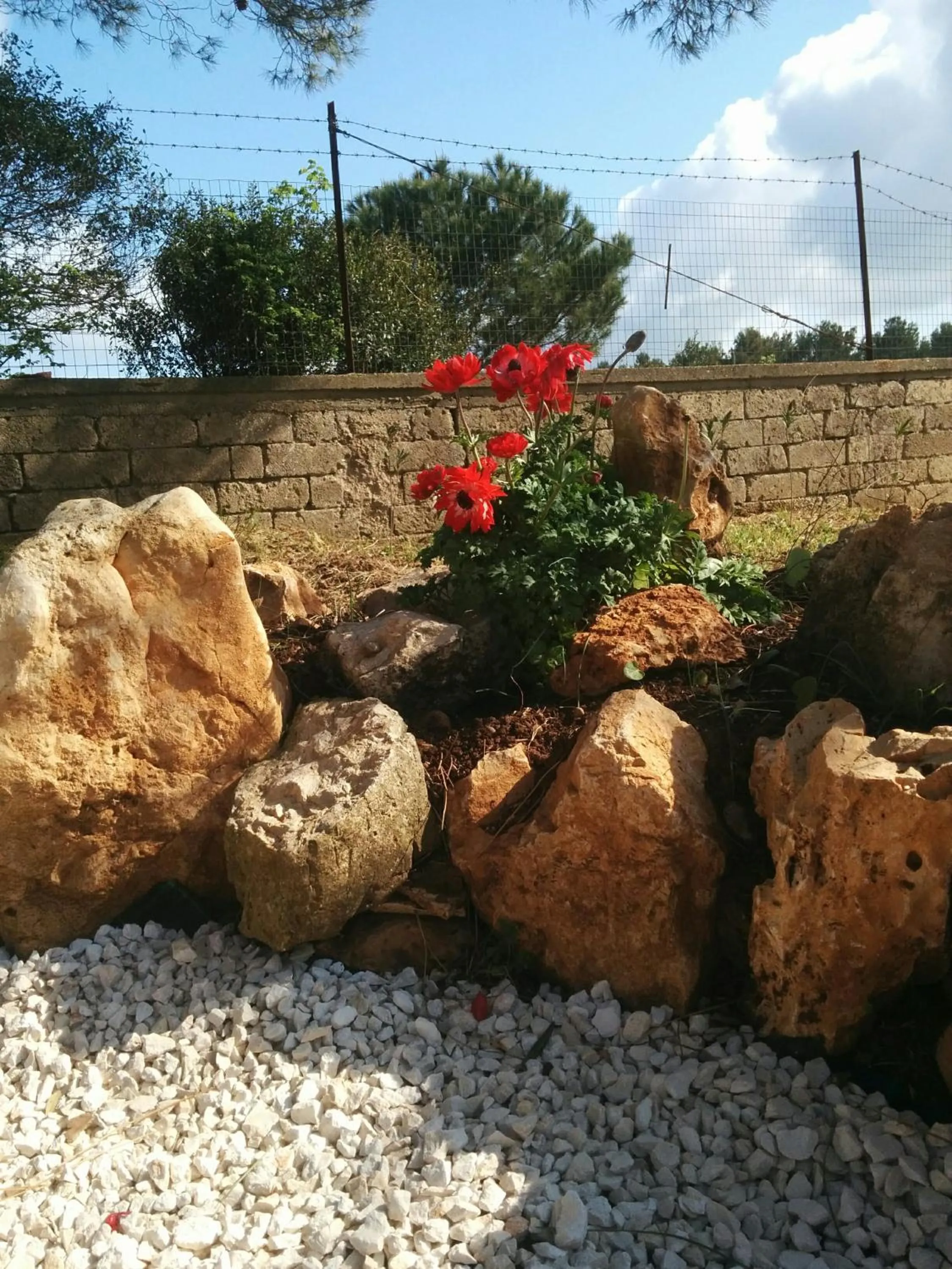 Natural landscape in Villa 2 Fields