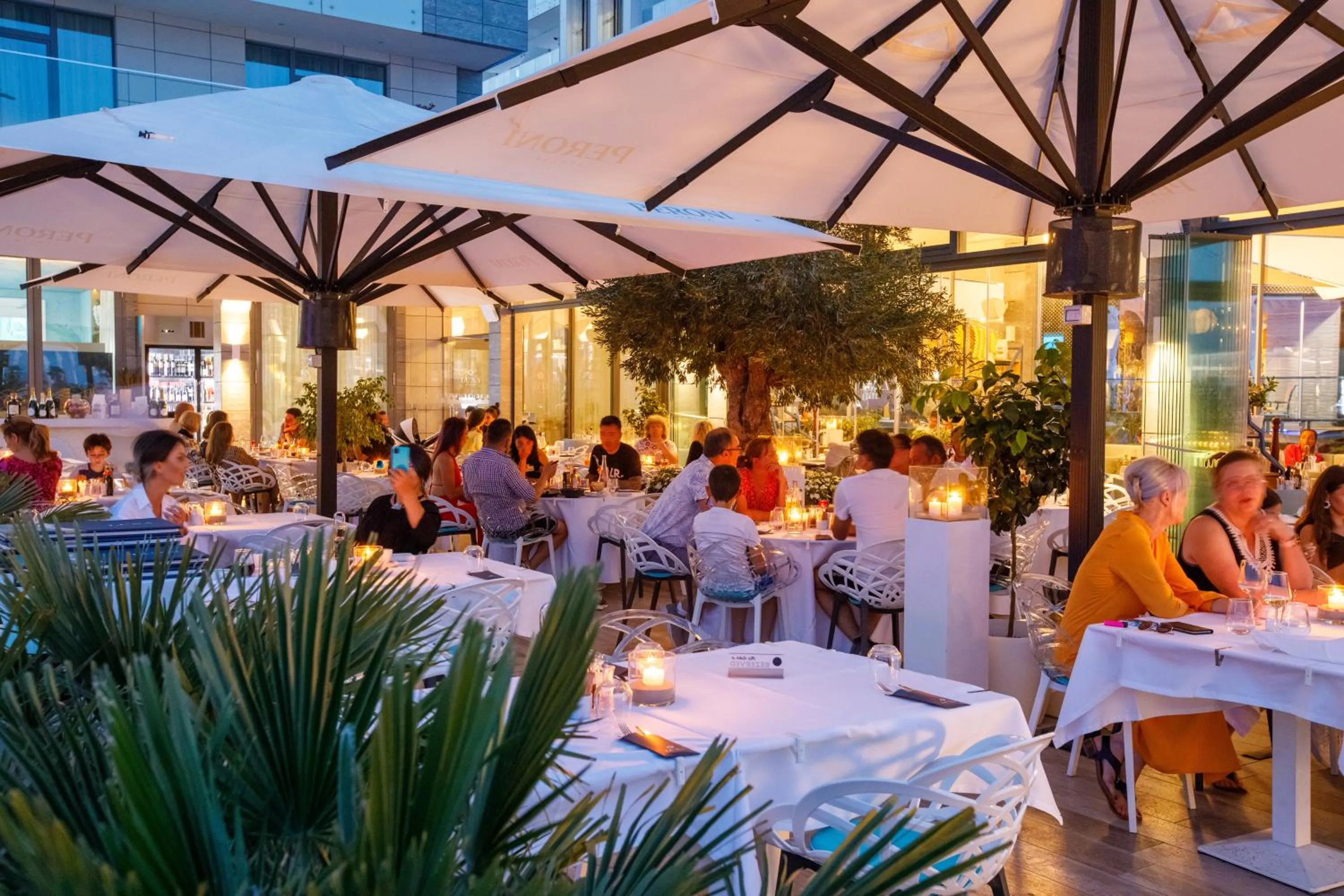 Restaurant/places to eat in Hotel Opera Mamaia