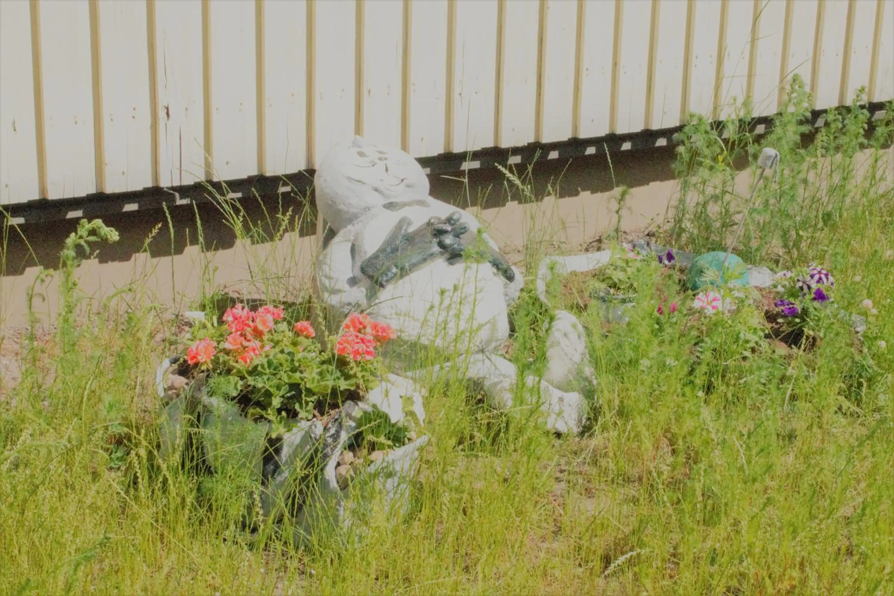 Day in Guesthouse - Kuin Kotonaan