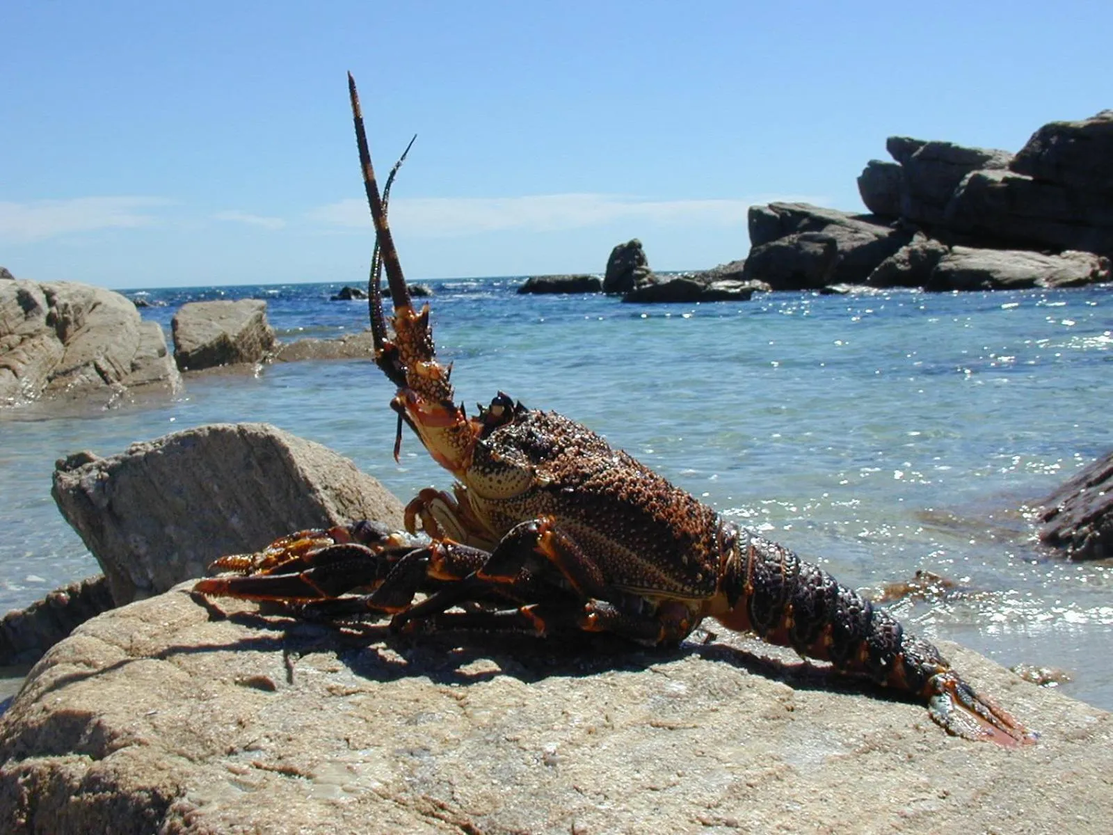Beach in Lamberts Bay Hotel