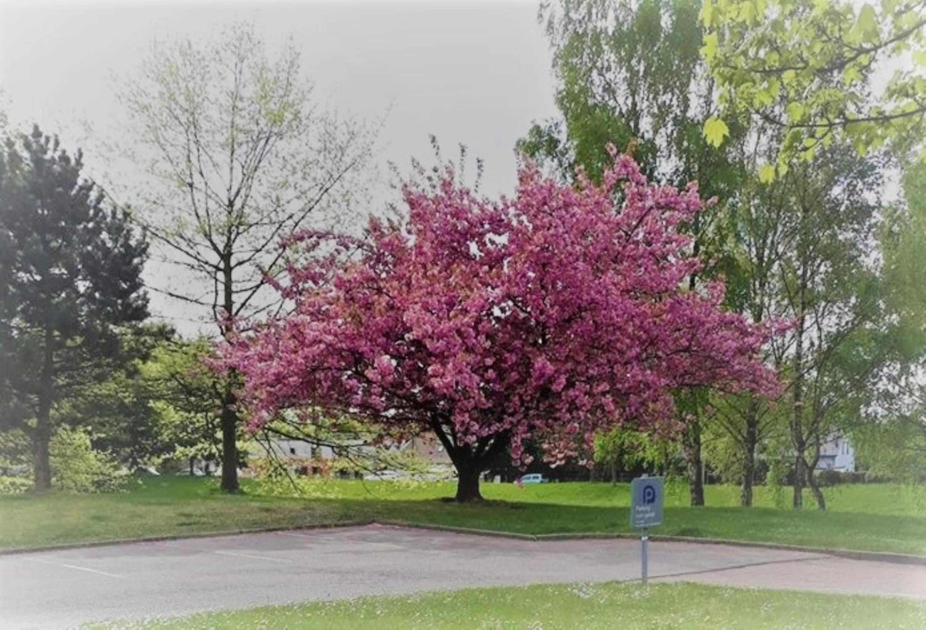 Garden in KYRIAD ROUEN NORD - Mont Saint Aignan