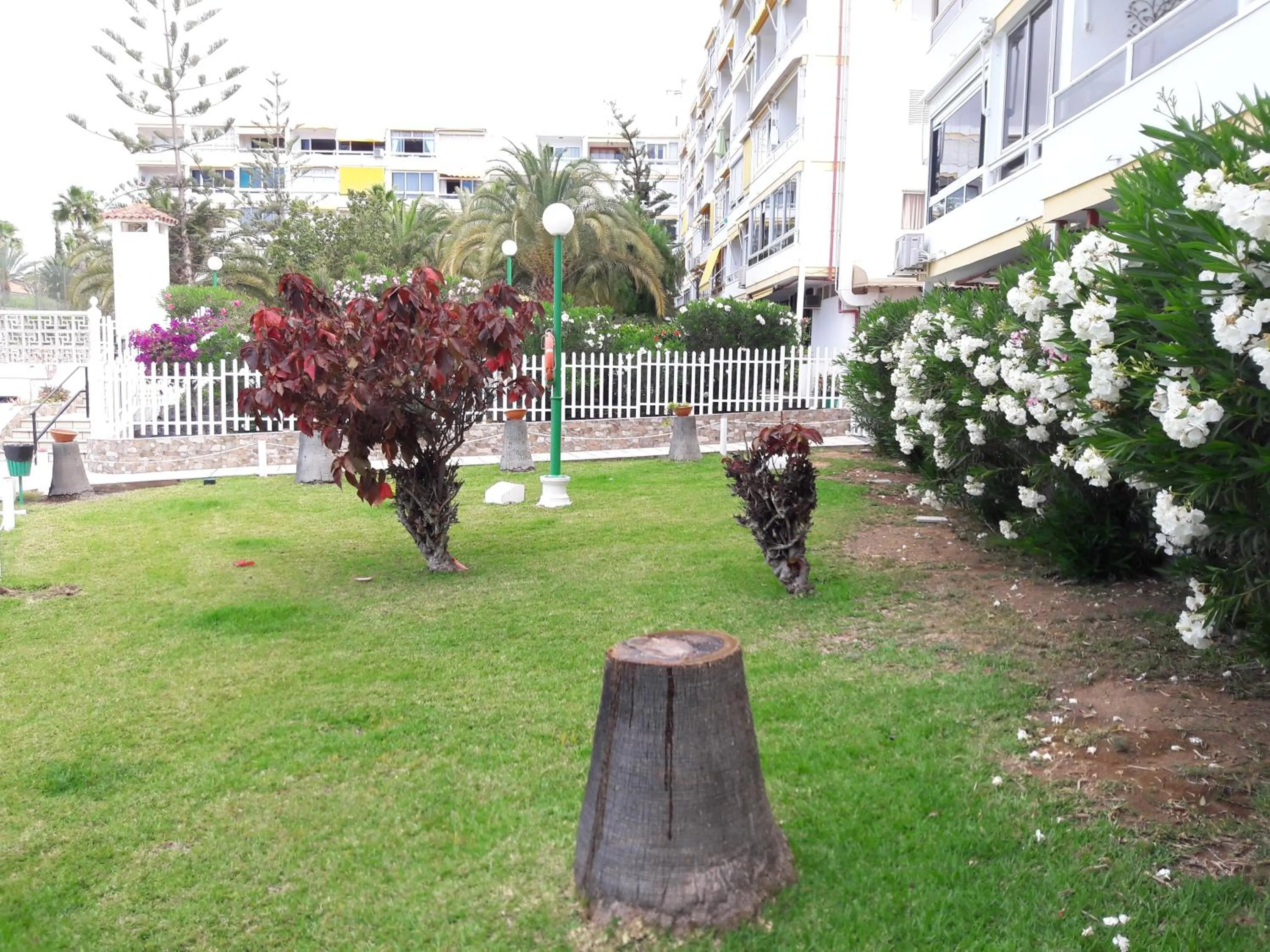 Garden in Apartment 2-2 Playa del Ingles