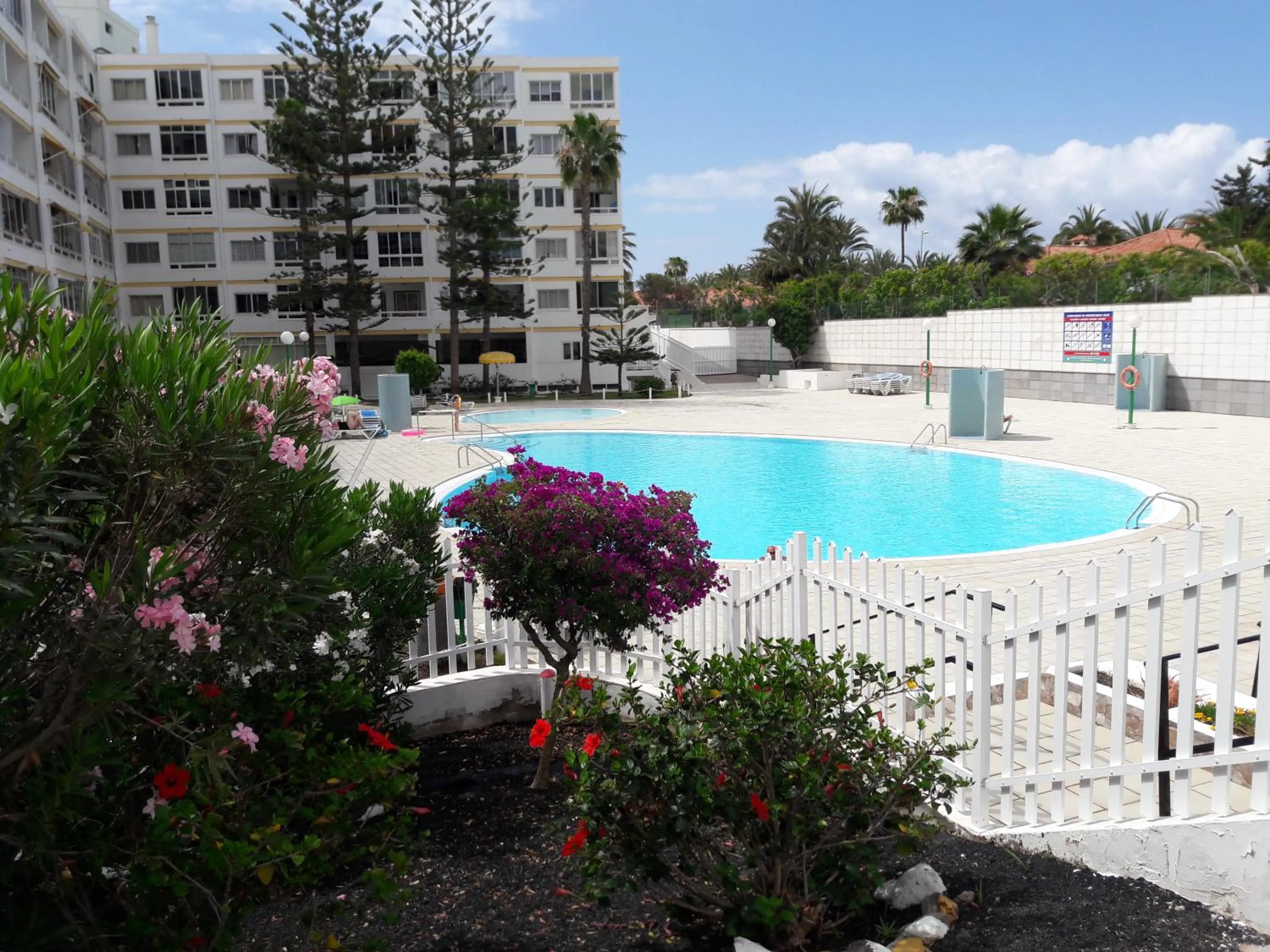 Garden in Apartment 2-2 Playa del Ingles