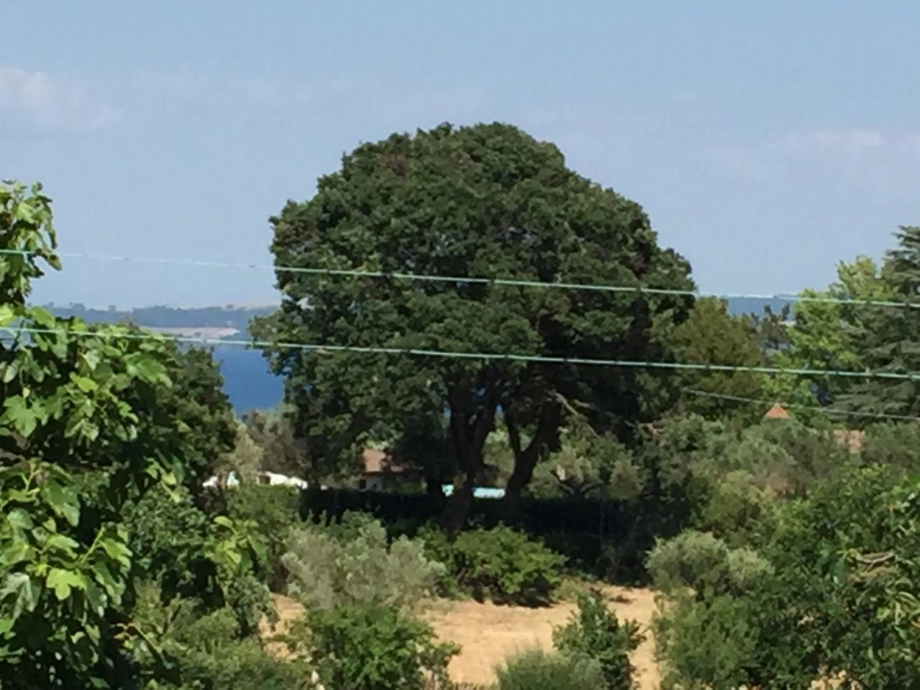 View (from property/room) in Eco Home con terrazza