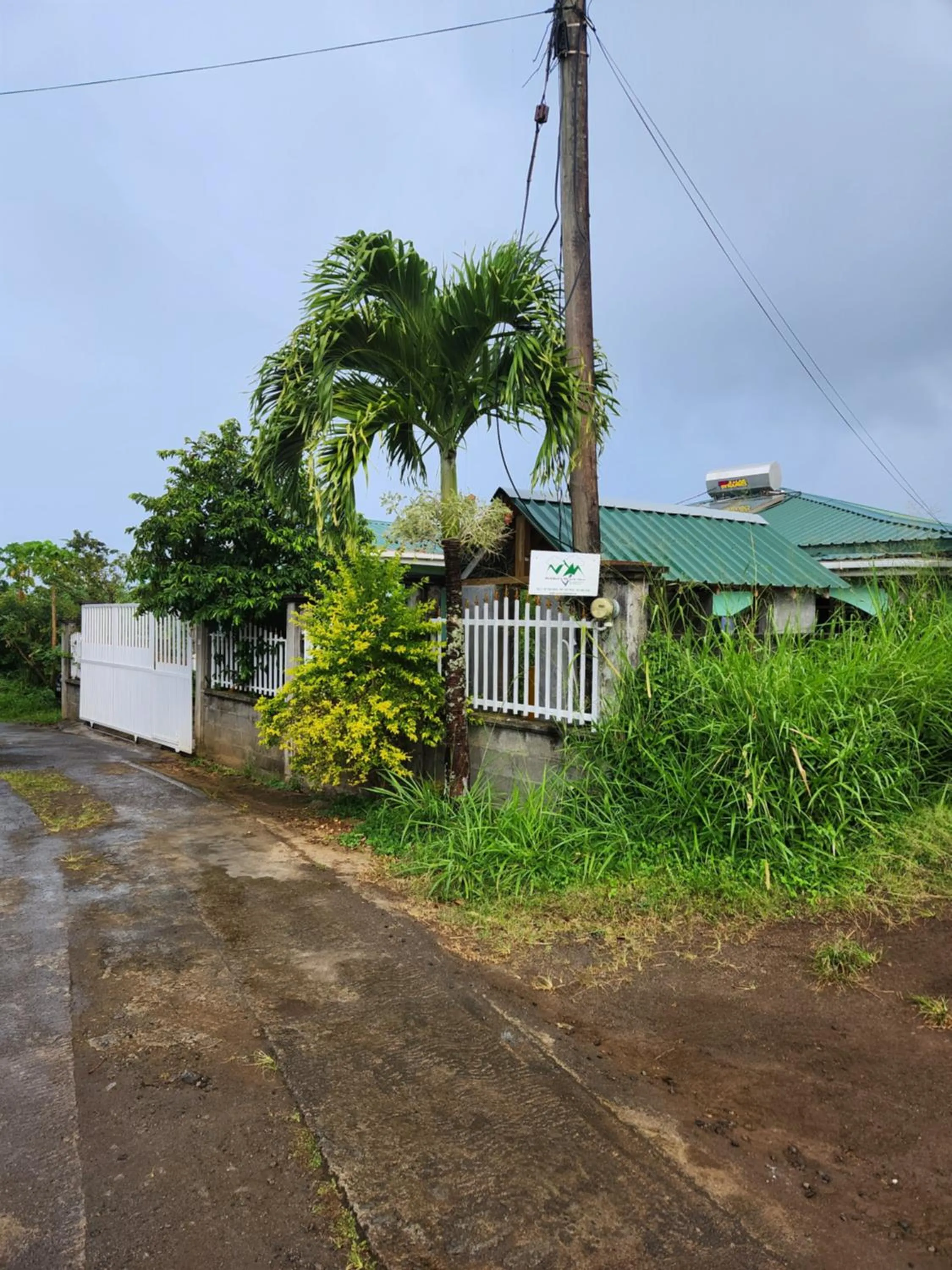Natural landscape in Matthew's Miracle View