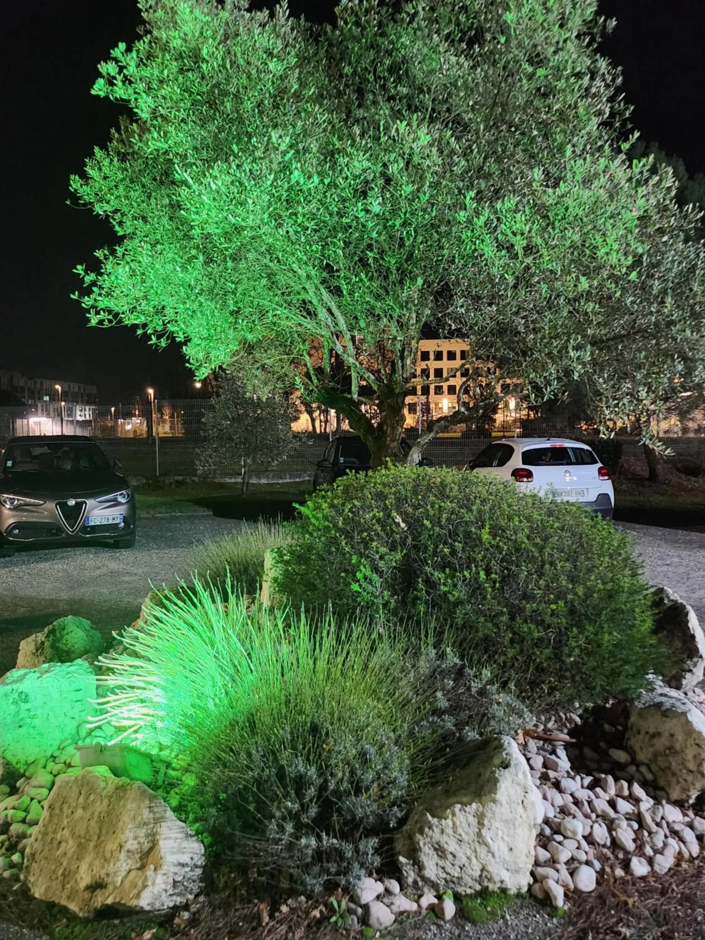 Garden in Campanile Bordeaux Sud Hopital Haut Leveque - Pessac