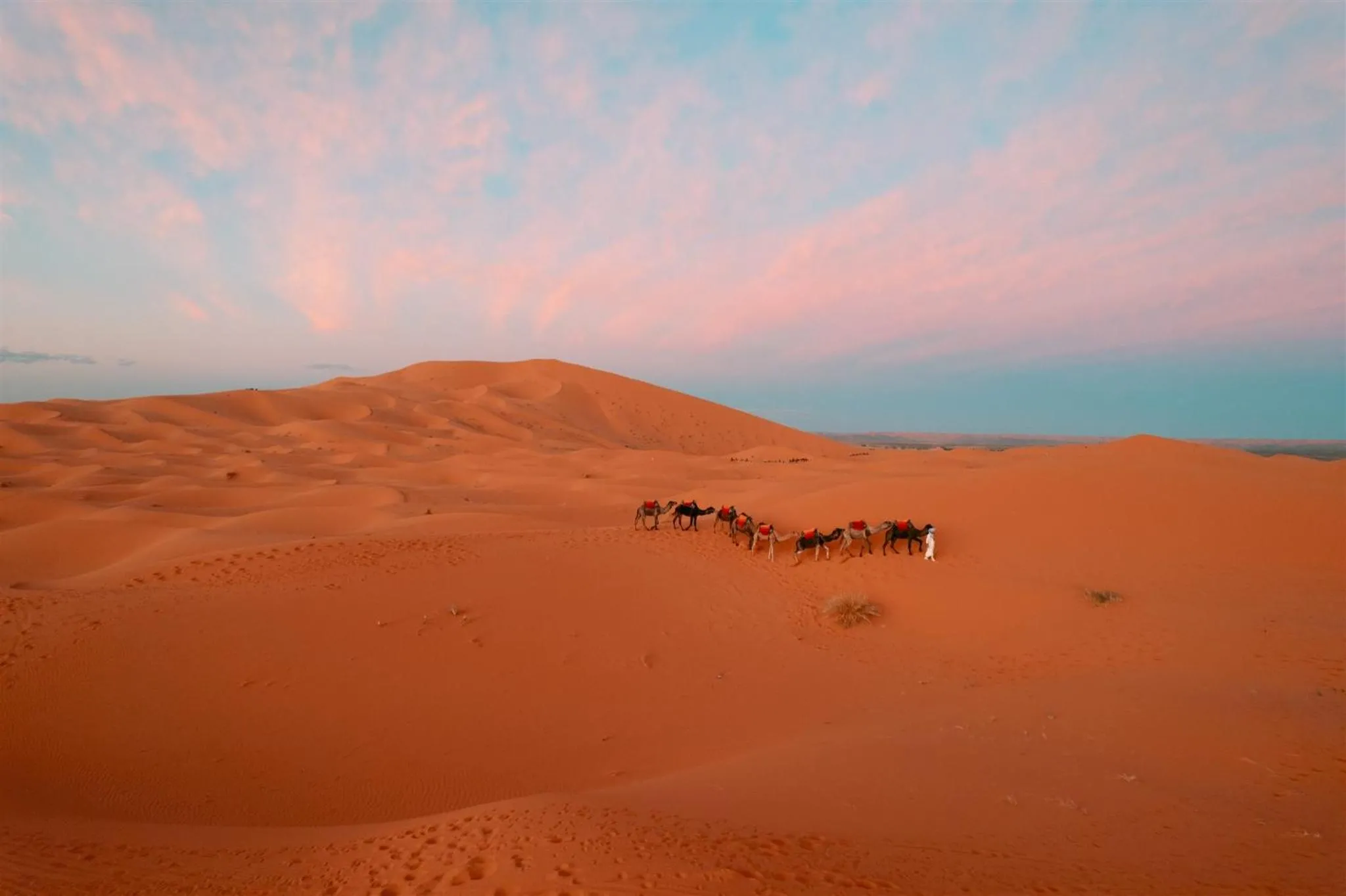 Luxury Camp Chebbi