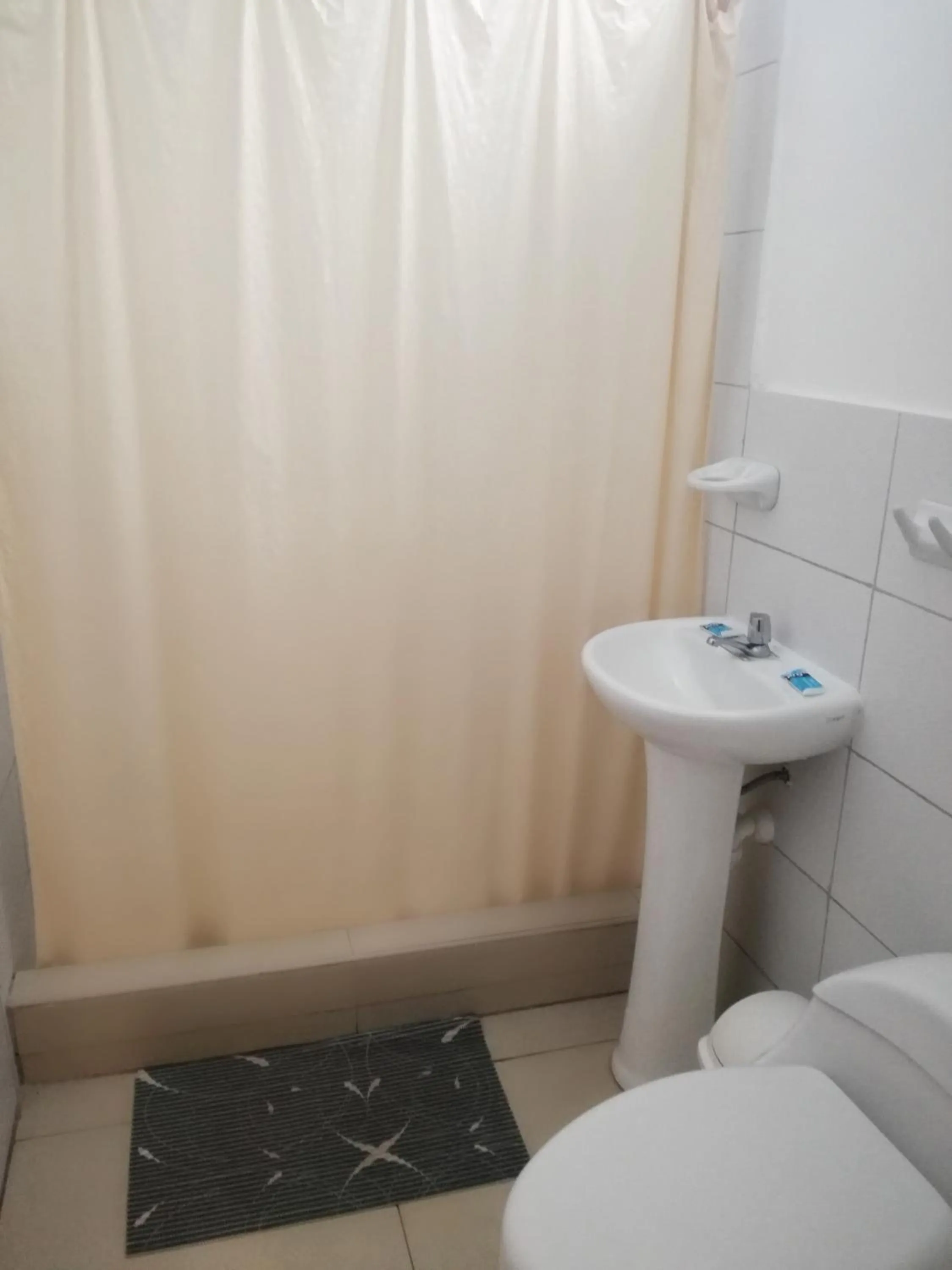 Toilet in PiscoMar Peru