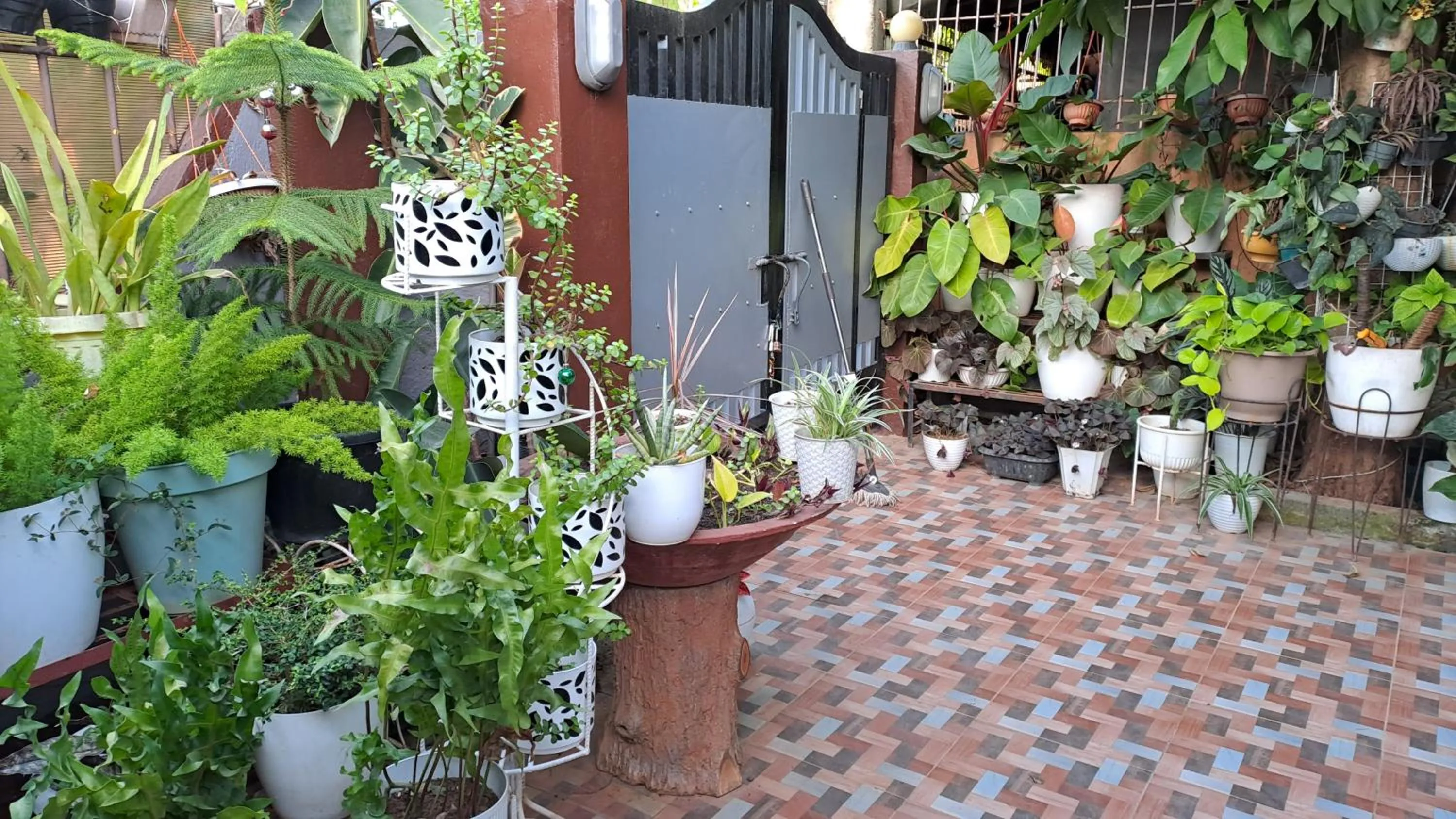 Garden in Dalinda's Homestay