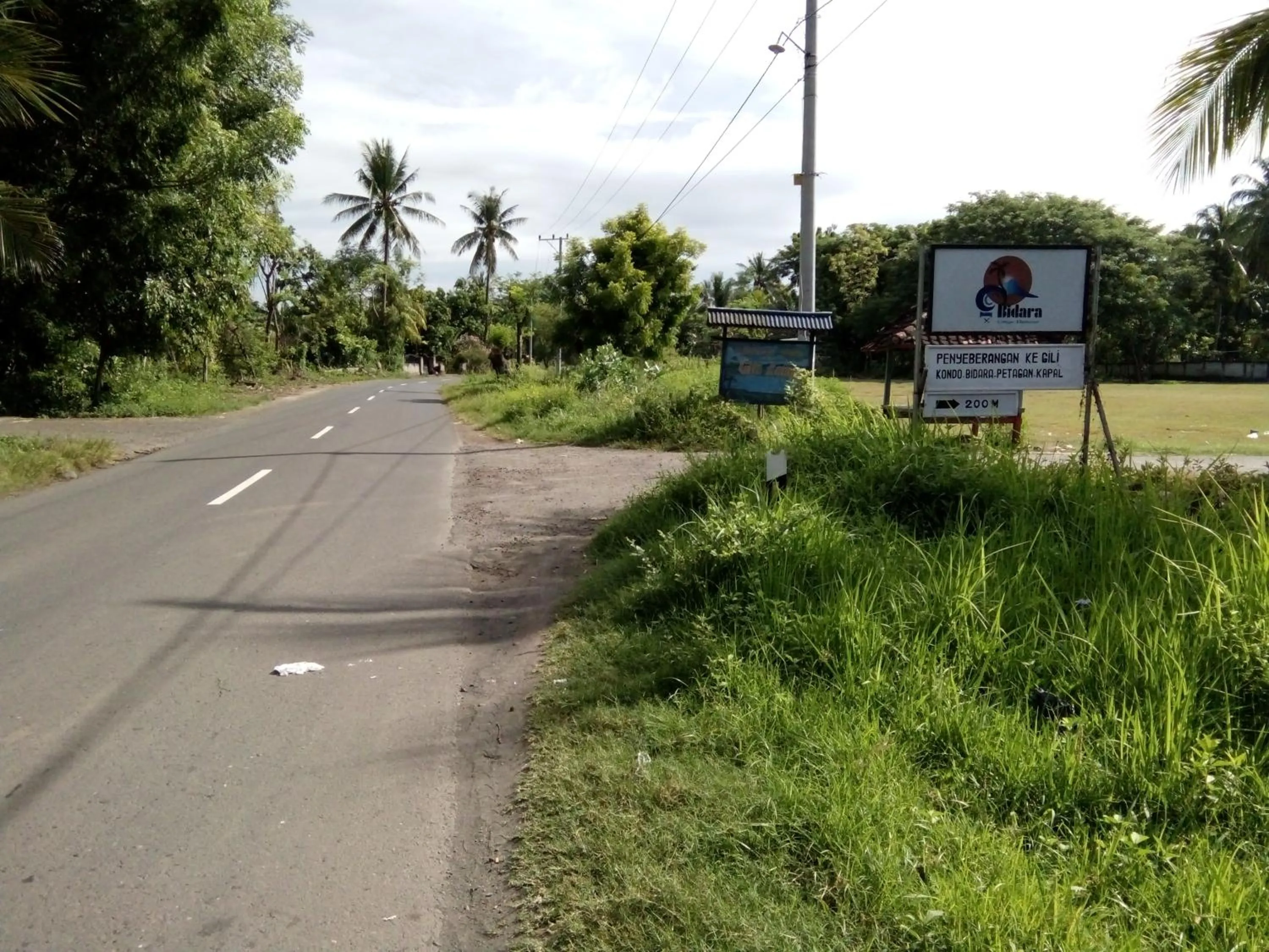 Garden view in Bidara Cottage
