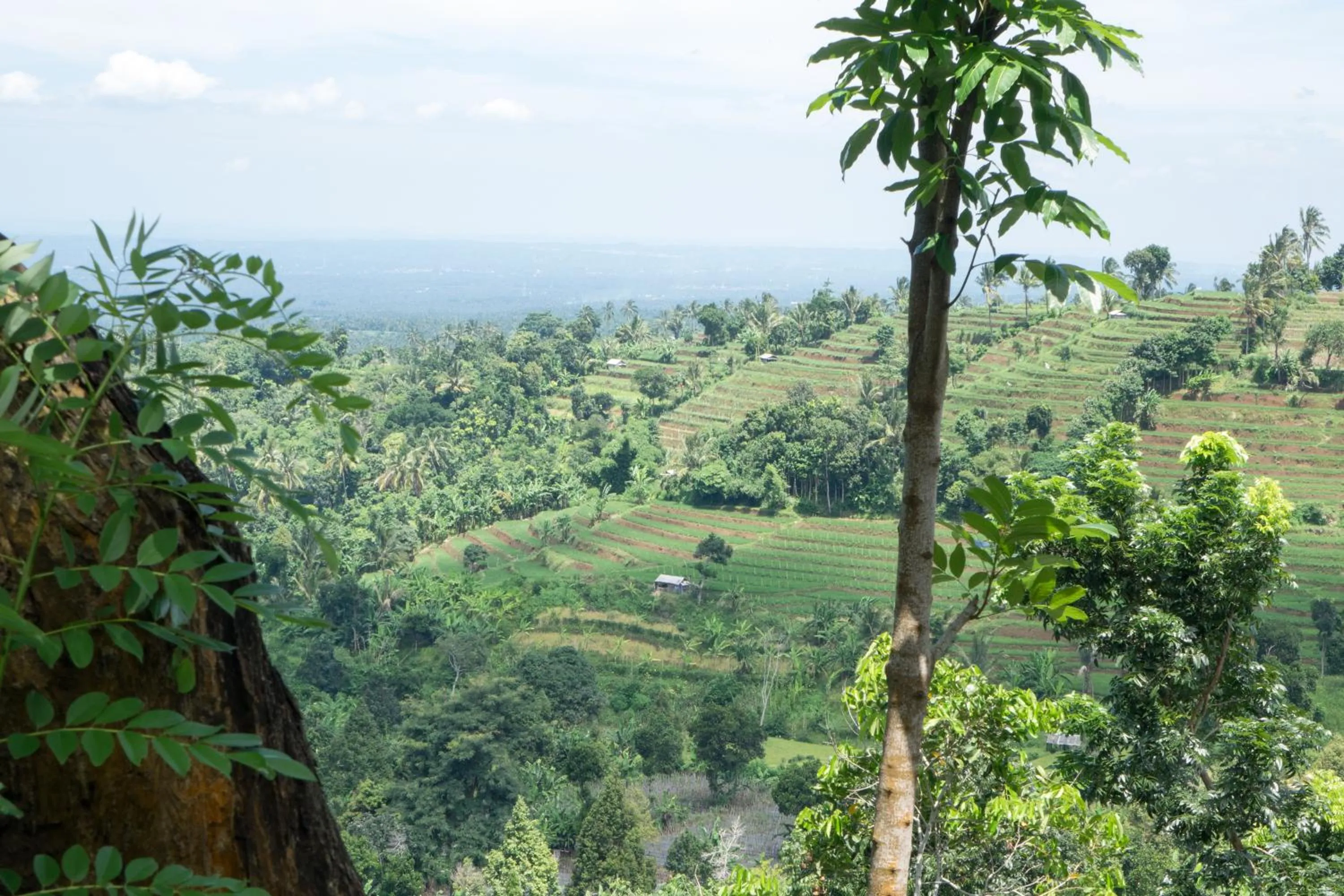 Mountain view in Bidara Cottage