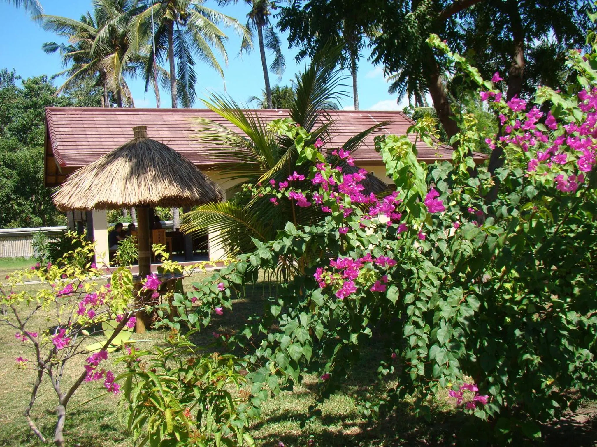Bidara Cottage