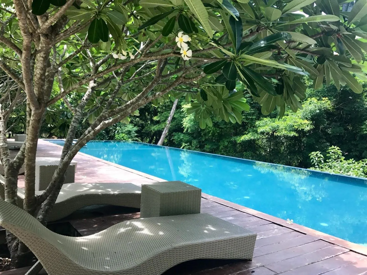 Swimming pool in Wanathara Resort