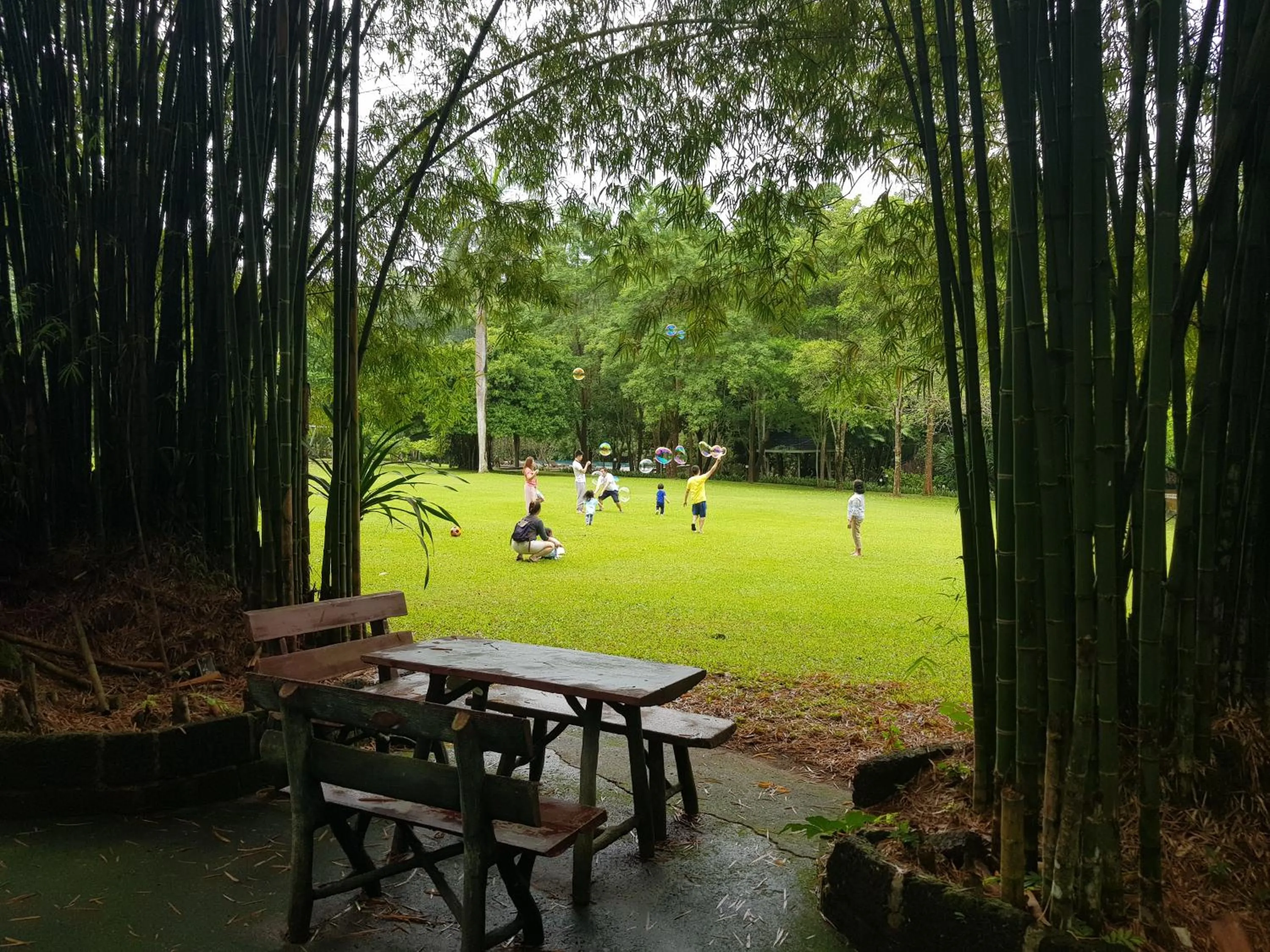 Natural landscape in Wanathara Resort