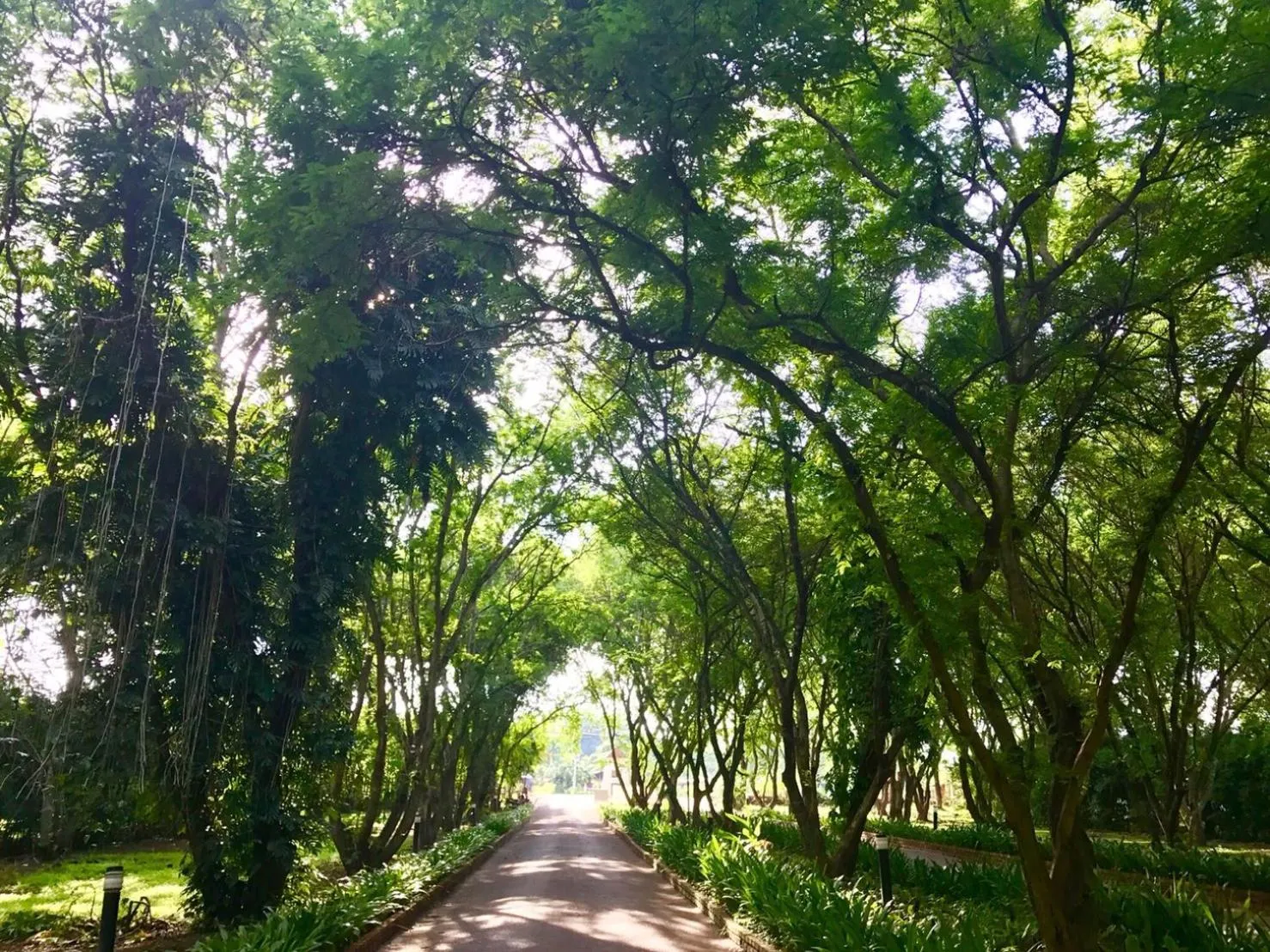 Natural landscape in Wanathara Resort