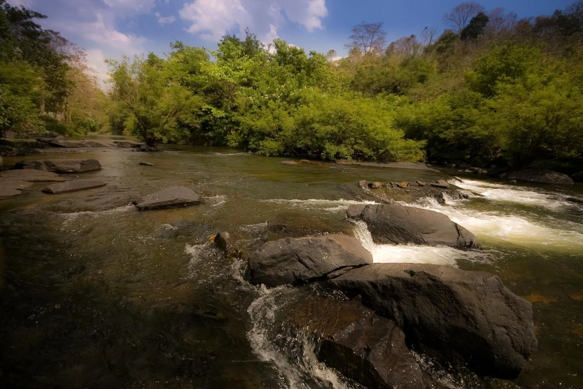 Natural landscape in Wanathara Resort