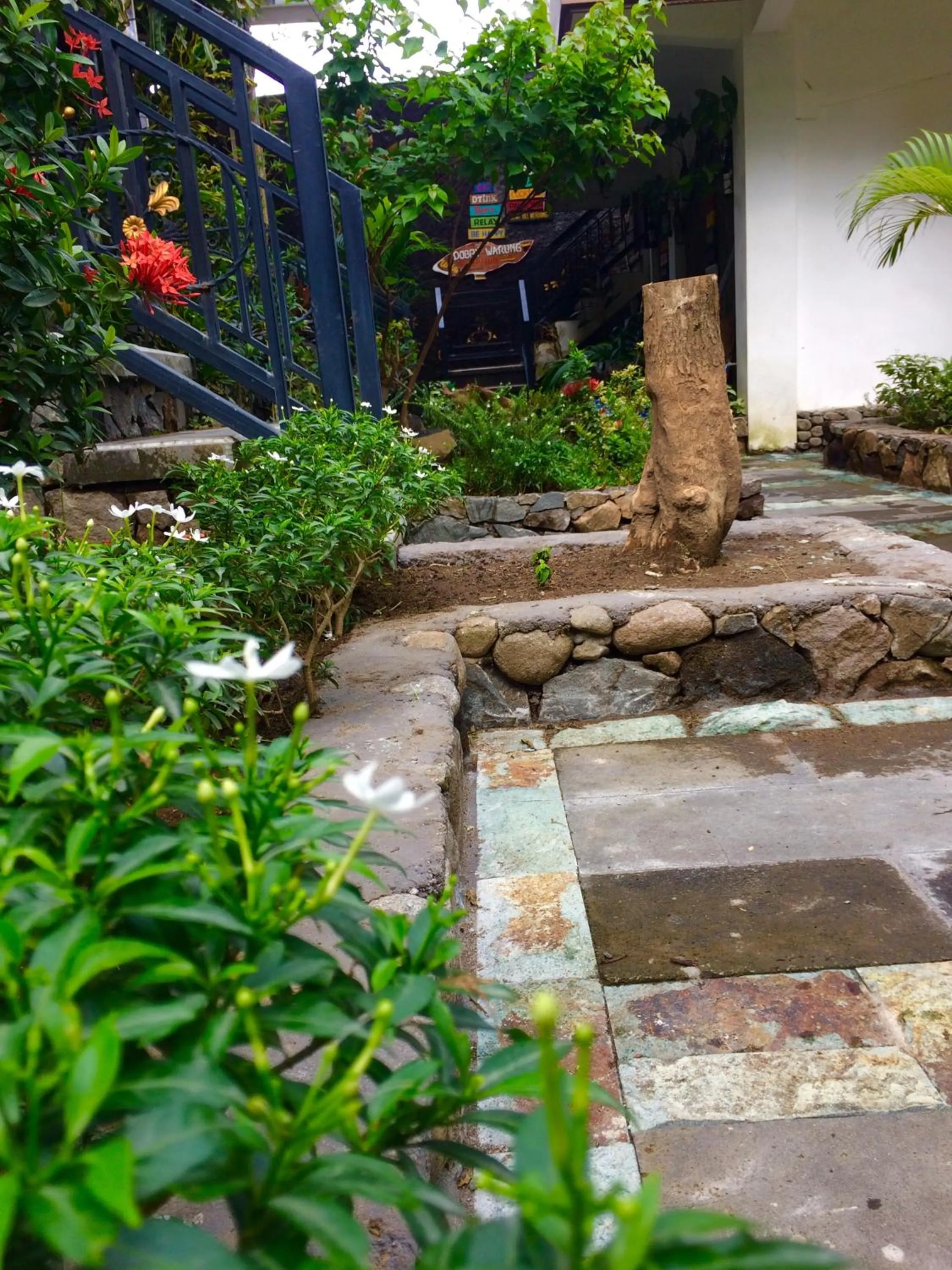 Garden in Amed Romance House