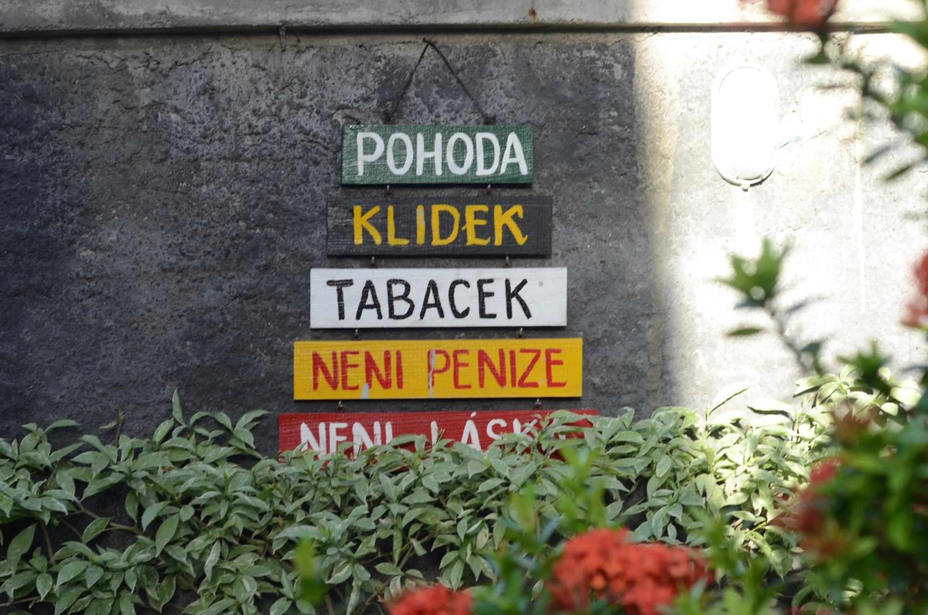 Garden view in Amed Romance House