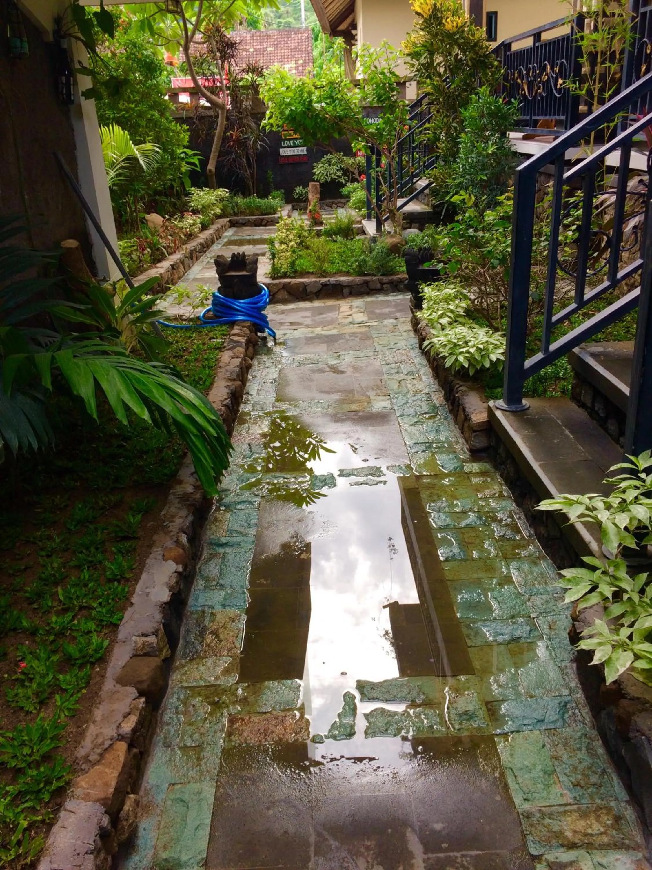 Garden in Amed Romance House