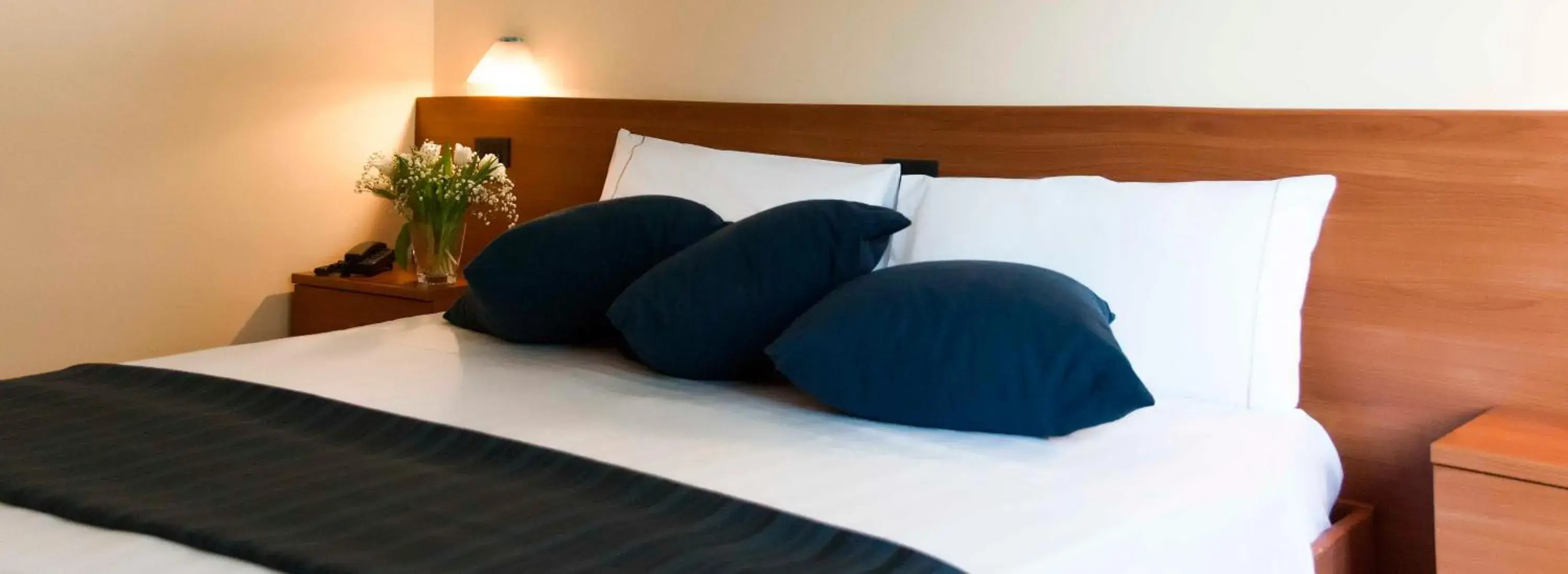 Standard Double Room in Park Hotel Standard Double Room in Park Hotel