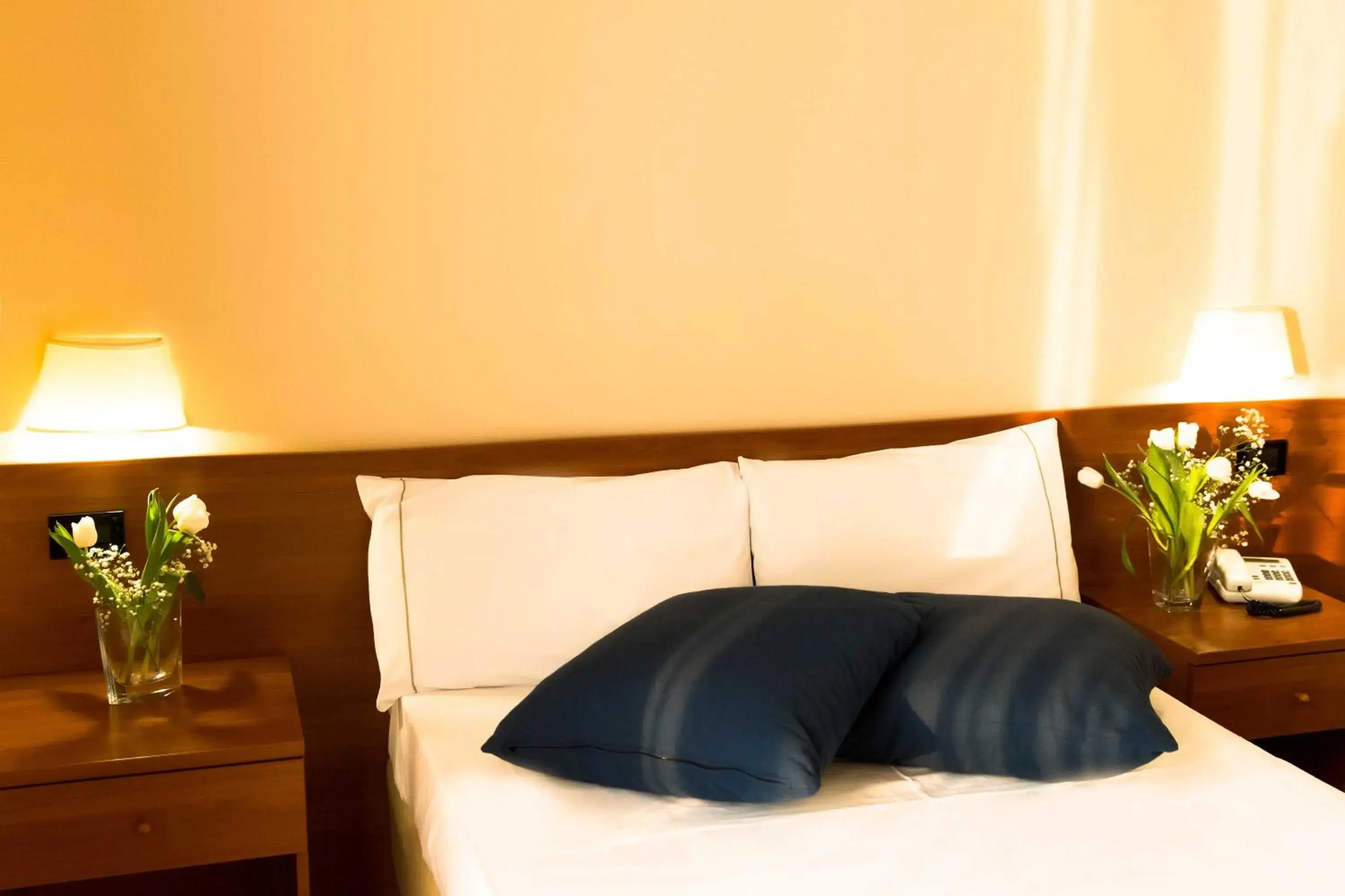 Double Room (1 Adult) in Park Hotel Double Room (1 Adult) in Park Hotel