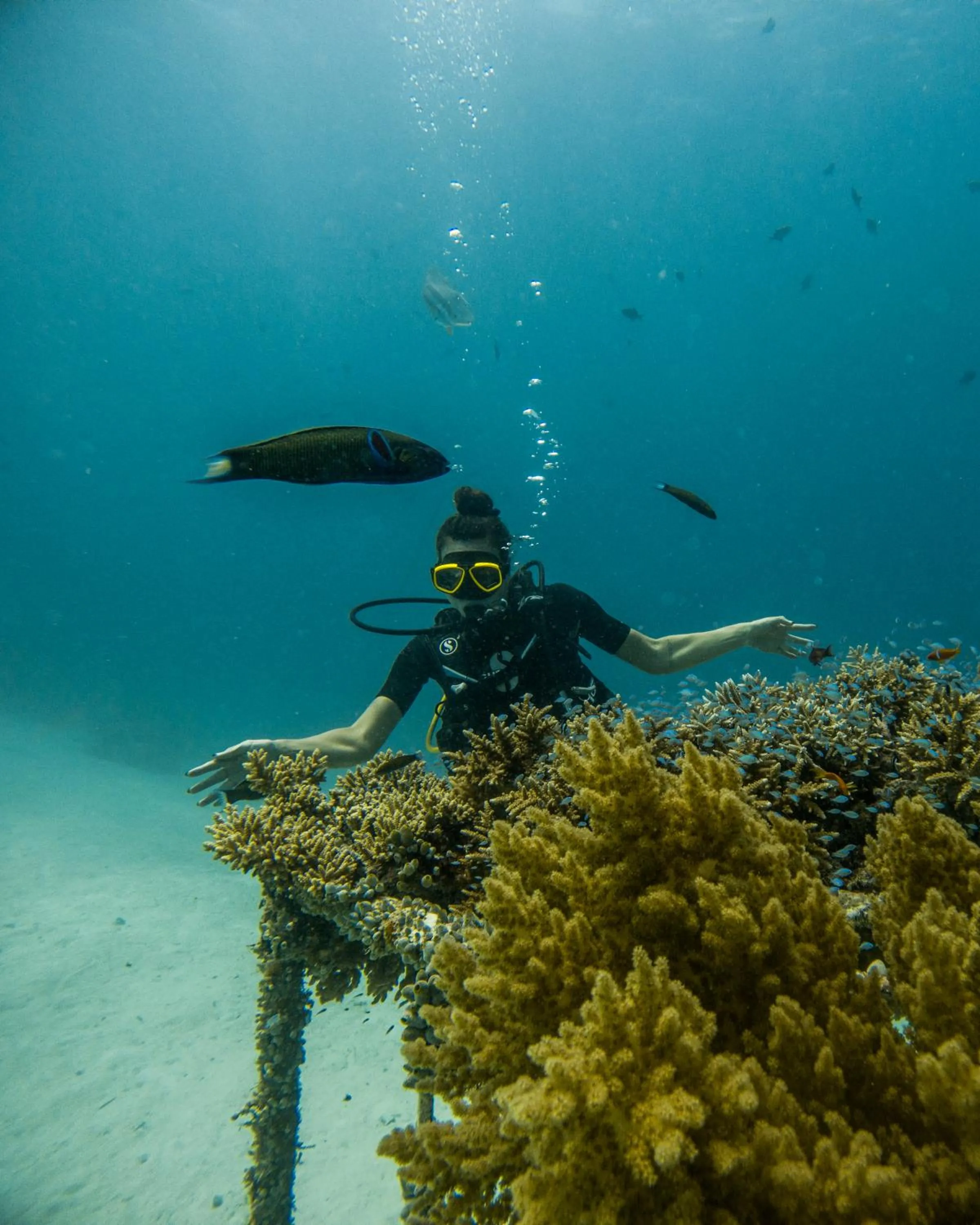 Natural landscape in Grand Park Kodhipparu Maldives