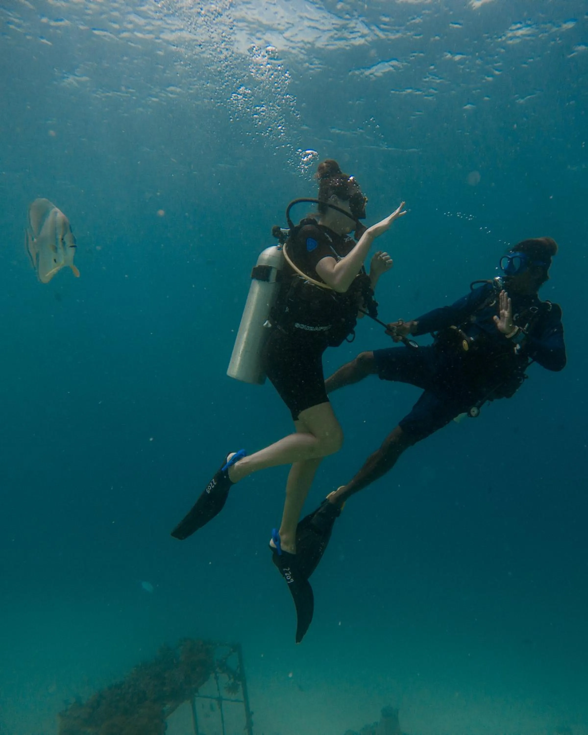 Diving in Grand Park Kodhipparu Maldives