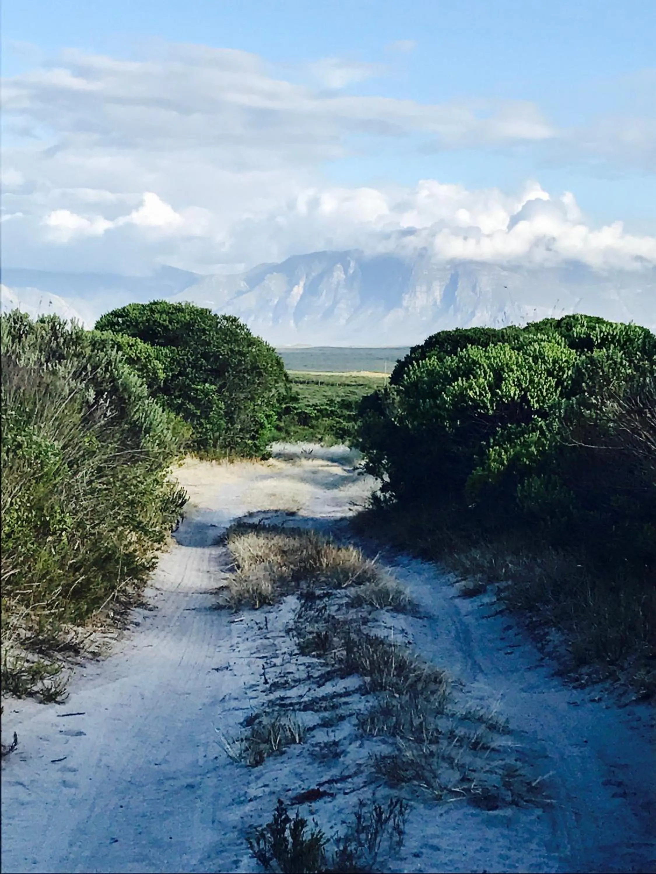 Natural landscape in Fairhill Nature Reserve and Guest House