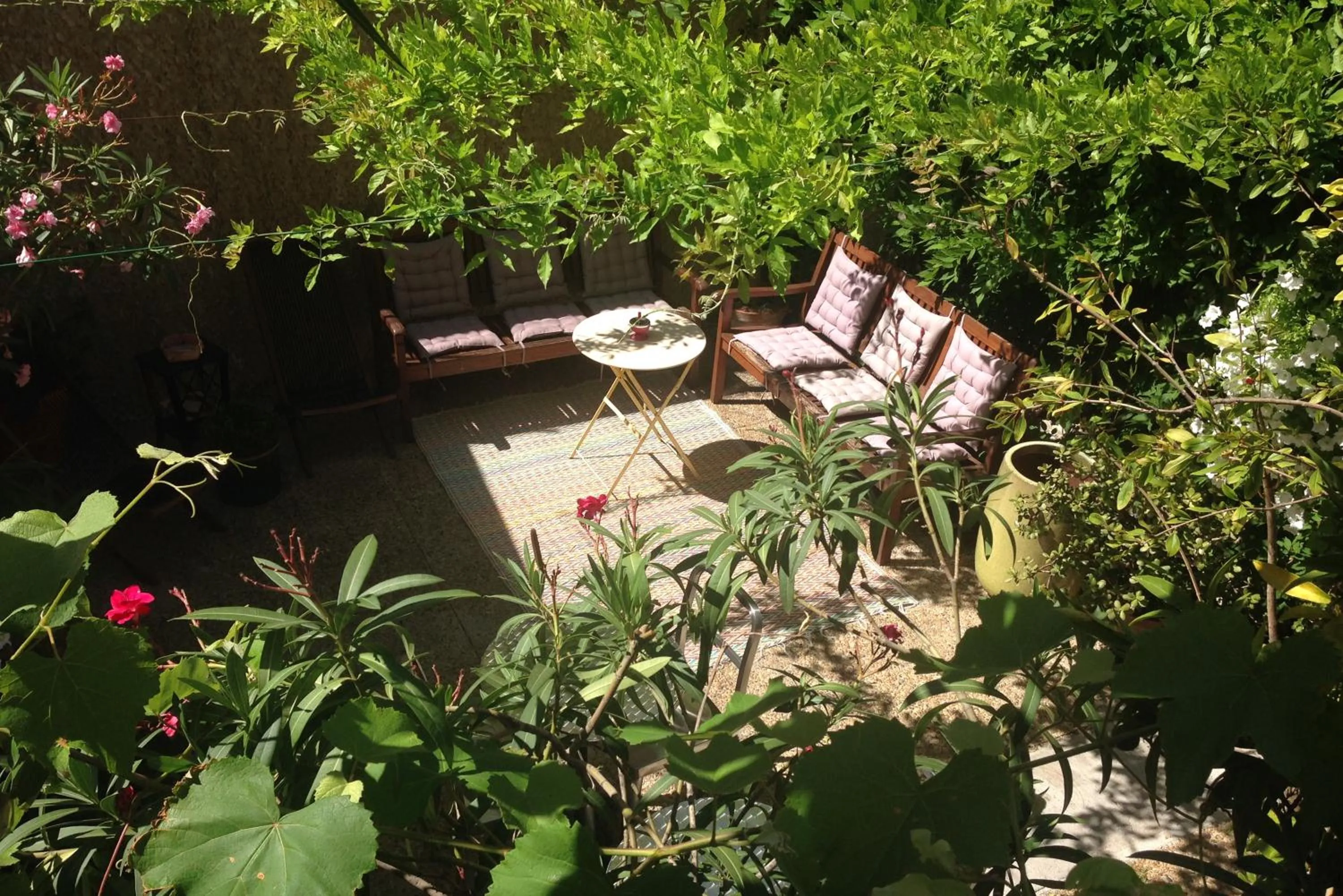 Garden in Hôtel Cecil Adults only