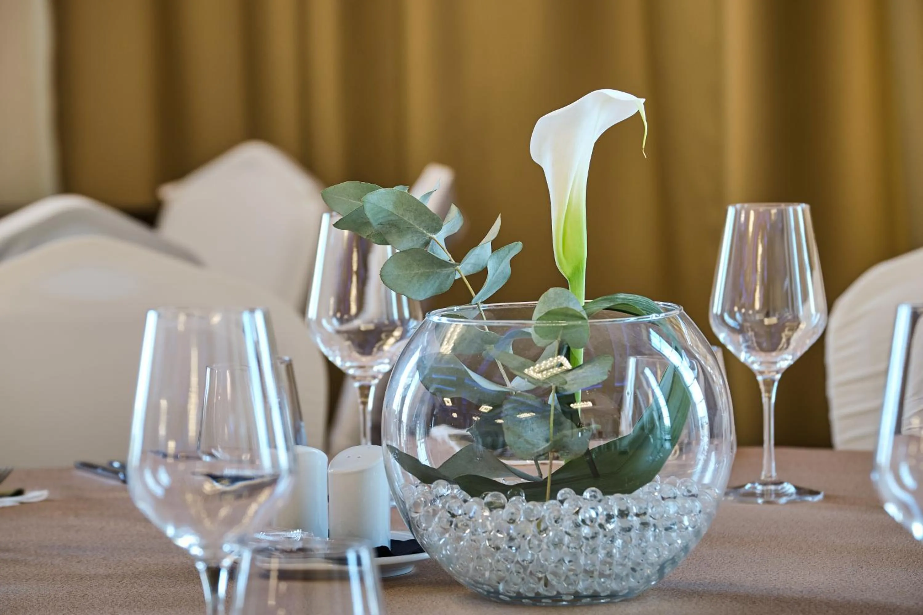 Business facilities in ibis Styles Arad