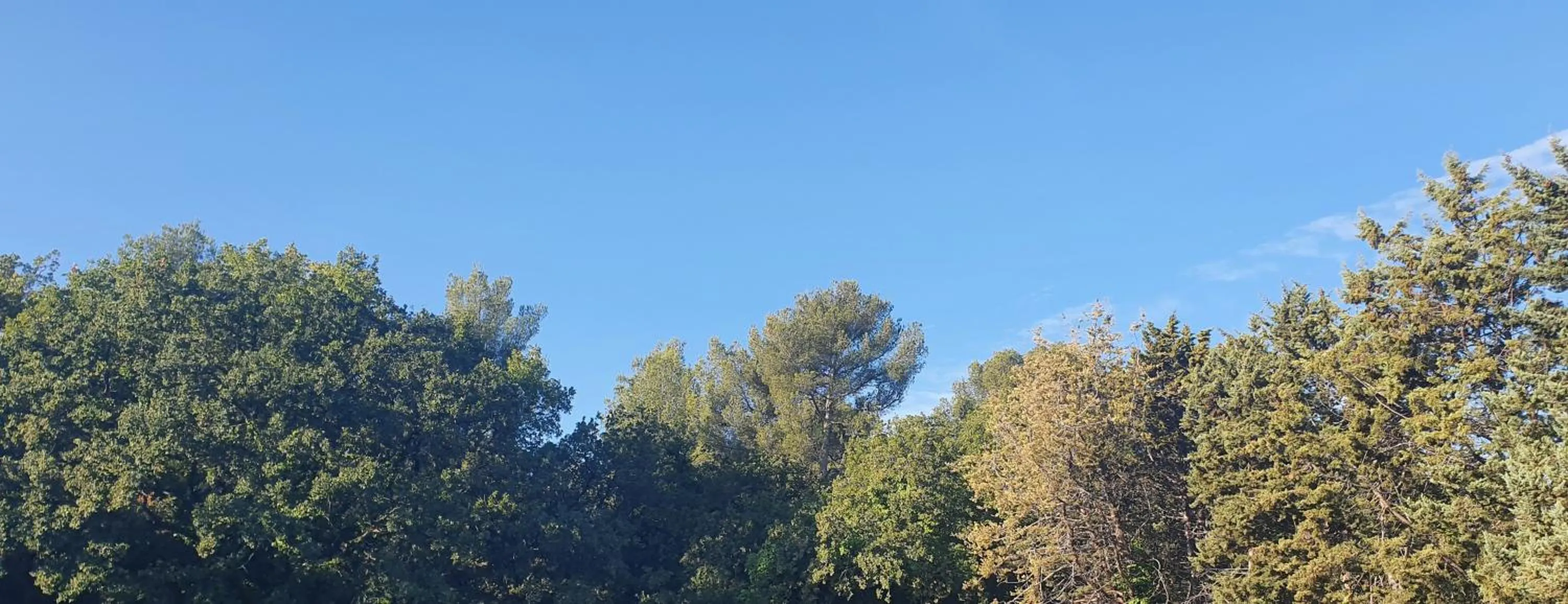 Garden view in Au Charme de Pépiole